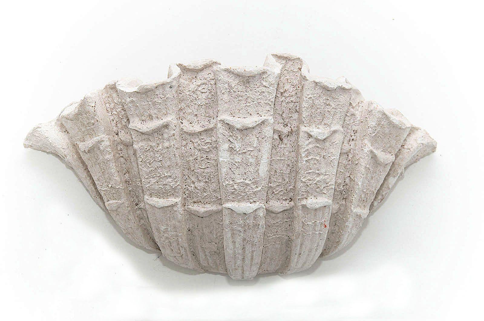 Sconce in Plaster, 1940s, in the Style of Serge Roche, from France, White Color 1