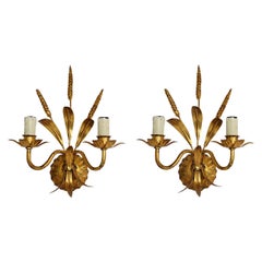  Sconces in Guilt Metal Attributed to Maison Jansen, Wheat Shaped, France, Pair