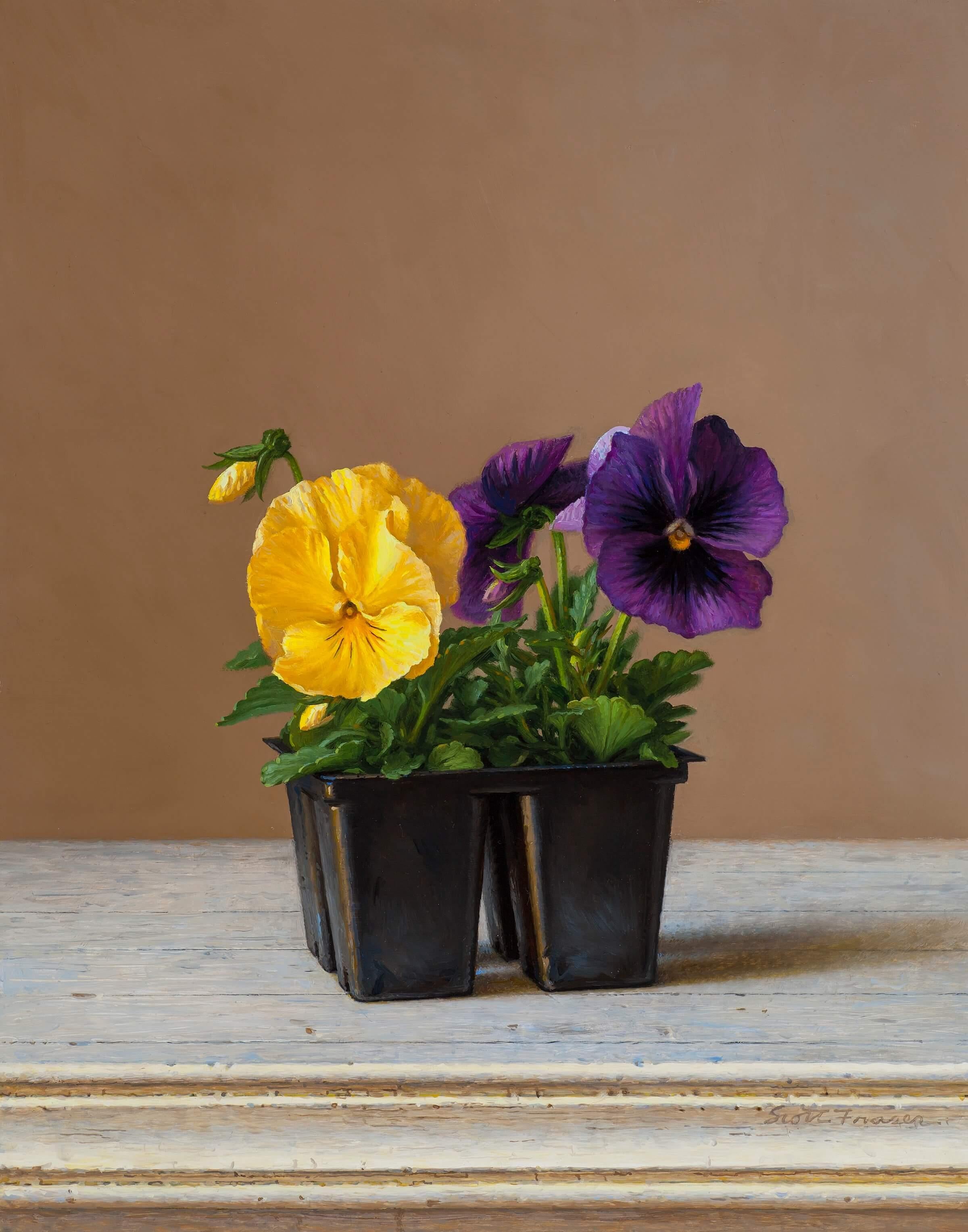 Scott Fraser Interior Painting - "Pack of Pansies", Oil Painting