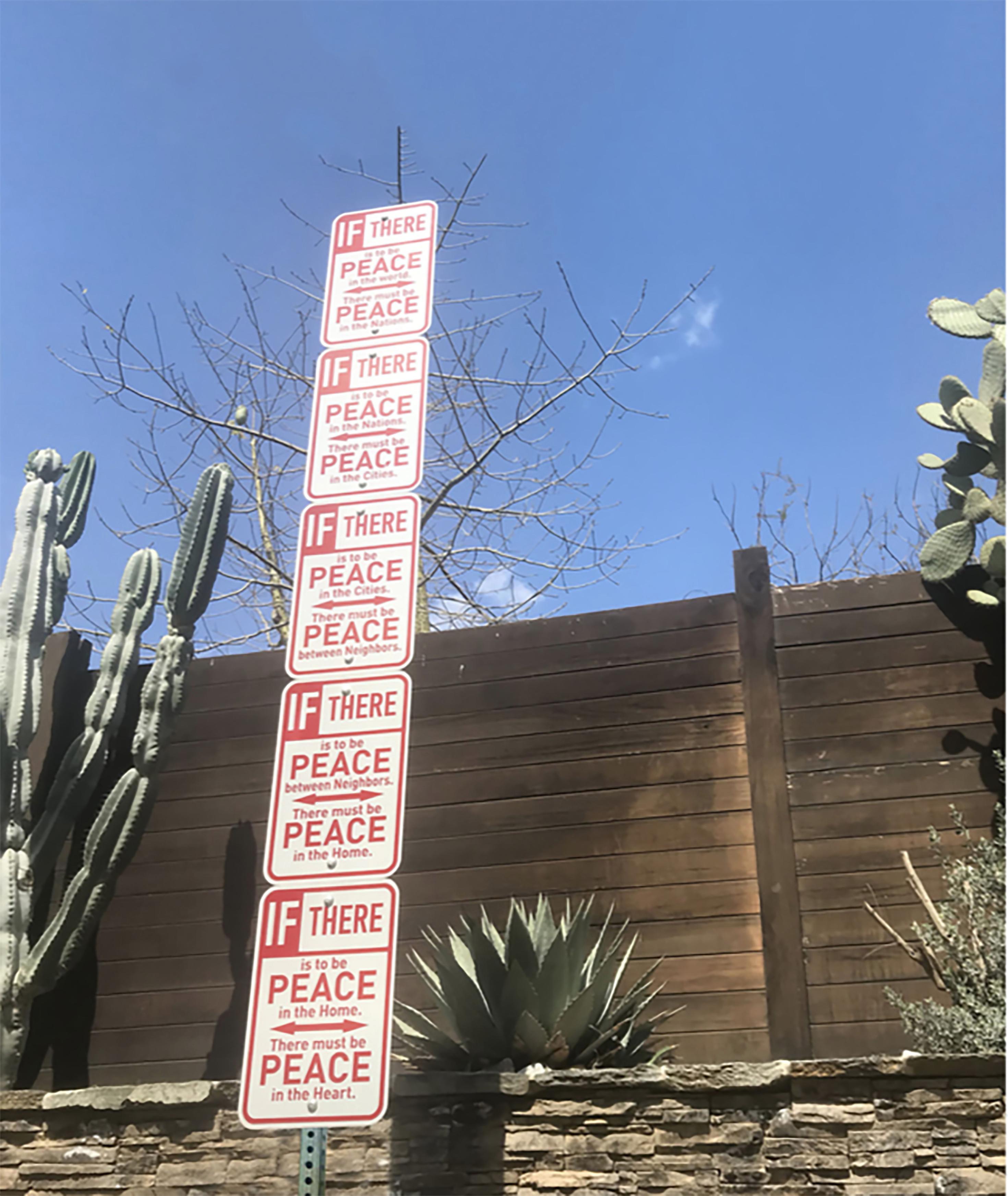 Scott Froschauer est un artiste expérimental qui vit et travaille à Los Angeles, où il se consacre principalement à l'exploration de nouveaux espaces et de nouvelles techniques de communication.
Dans cette série intitulée 