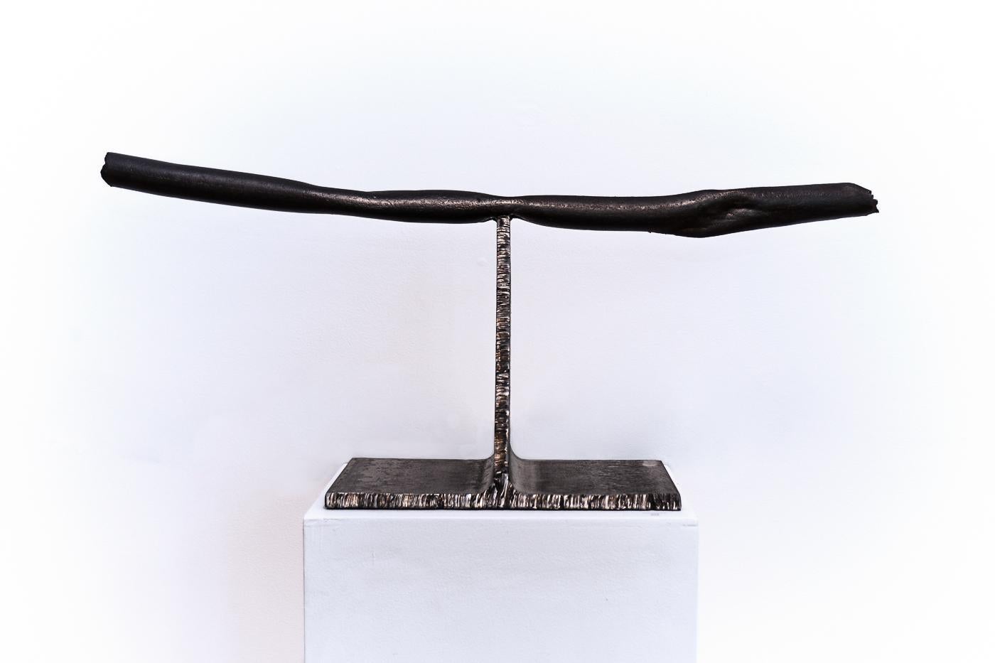 Flucking Up
Steel
Measures: 36 x 12 x 14 in.

Artist statement:

I seldom use stock material, but prefer distressed and rusted steel that has been scarred, bent, and made imperfect. In this state, the material becomes quite beautiful. There are