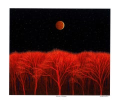 Lunar Eclipse, Scott Kahn