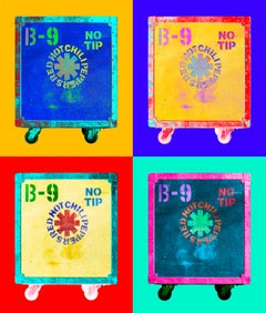 RHCB B-9 Case 4 - for Music Lovers - Bright, Patterned Pop Contemporary Photo