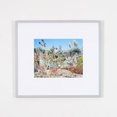 „Aloe Principis“ 2006, Tintenstrahldruck, signiert