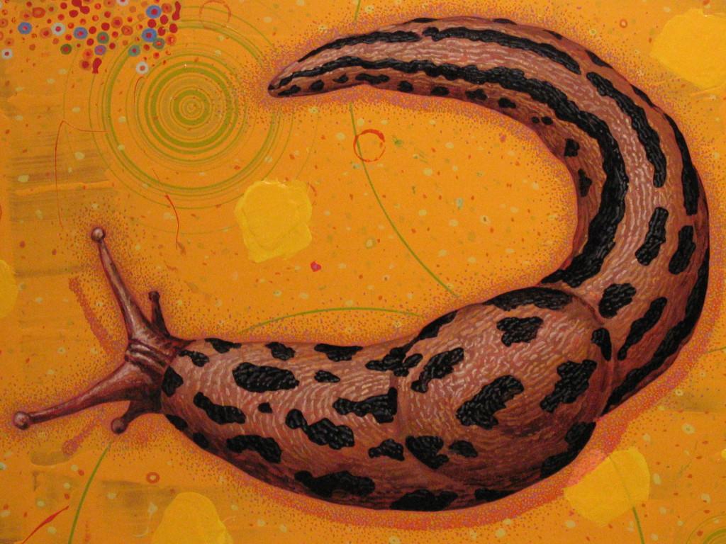 Leopard Slug - Painting by Scott McIntire