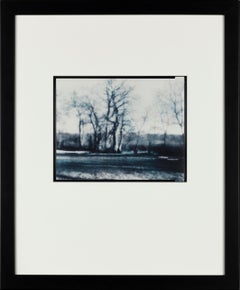 Willows