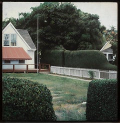 Yard in Provincetown, 1977