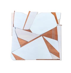 "Sparrow" Mixed Media Wall Sculpture (white, monochrome, wood, modern, bold)