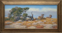 Rams On The Ridge