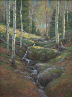 Acque di sorgente