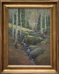 Acque di sorgente