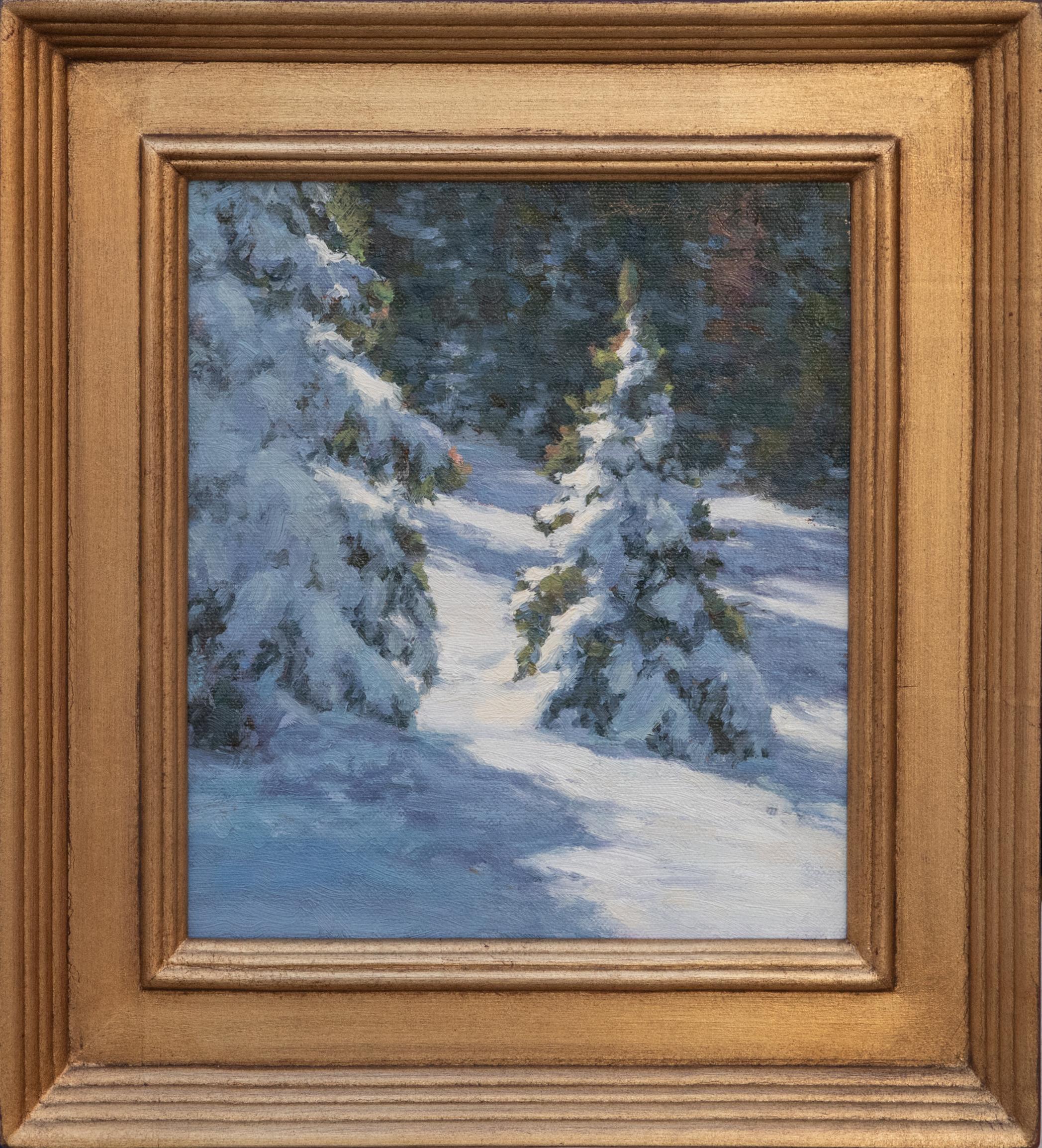 Winter Sun