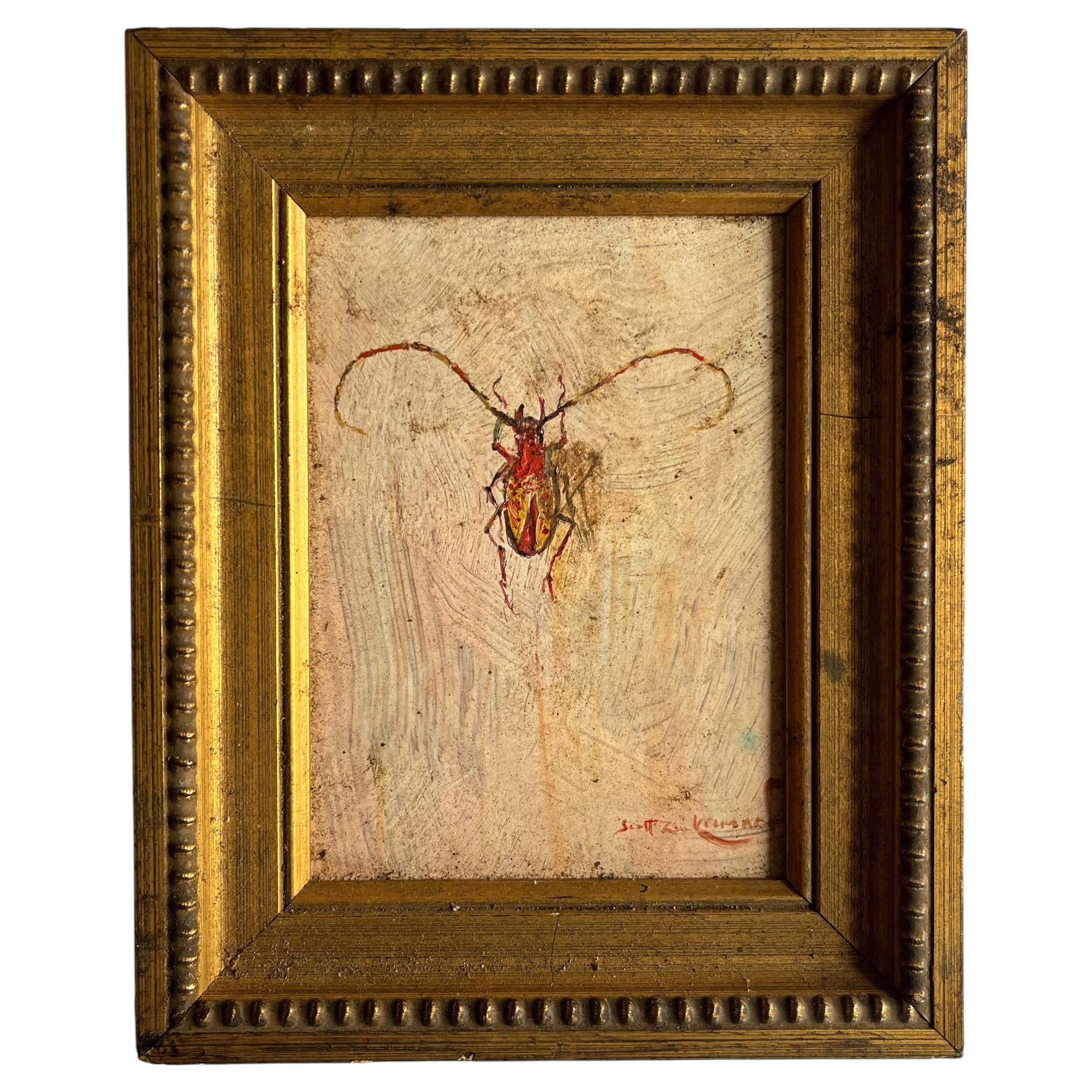 Scott Zuckerman Pintura al óleo sobre tabla Estudio de Especímenes de Insectos de un Escarabajo