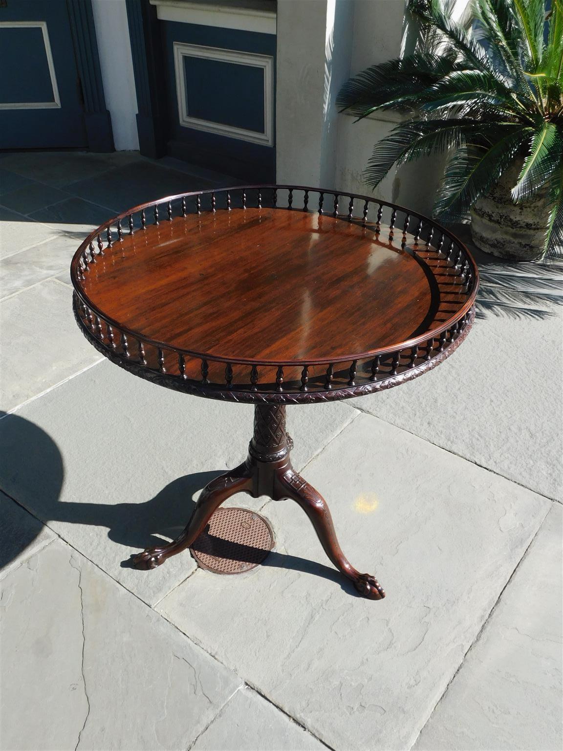 Scottish Chippendale Cuban mahogany tilt top tea table with a circular carved gallery, one board top, carved molded edge, supporting bird cage and resting on a turned tapered floral ribbon carved pedestal. Splayed curvature legs have a carved shell