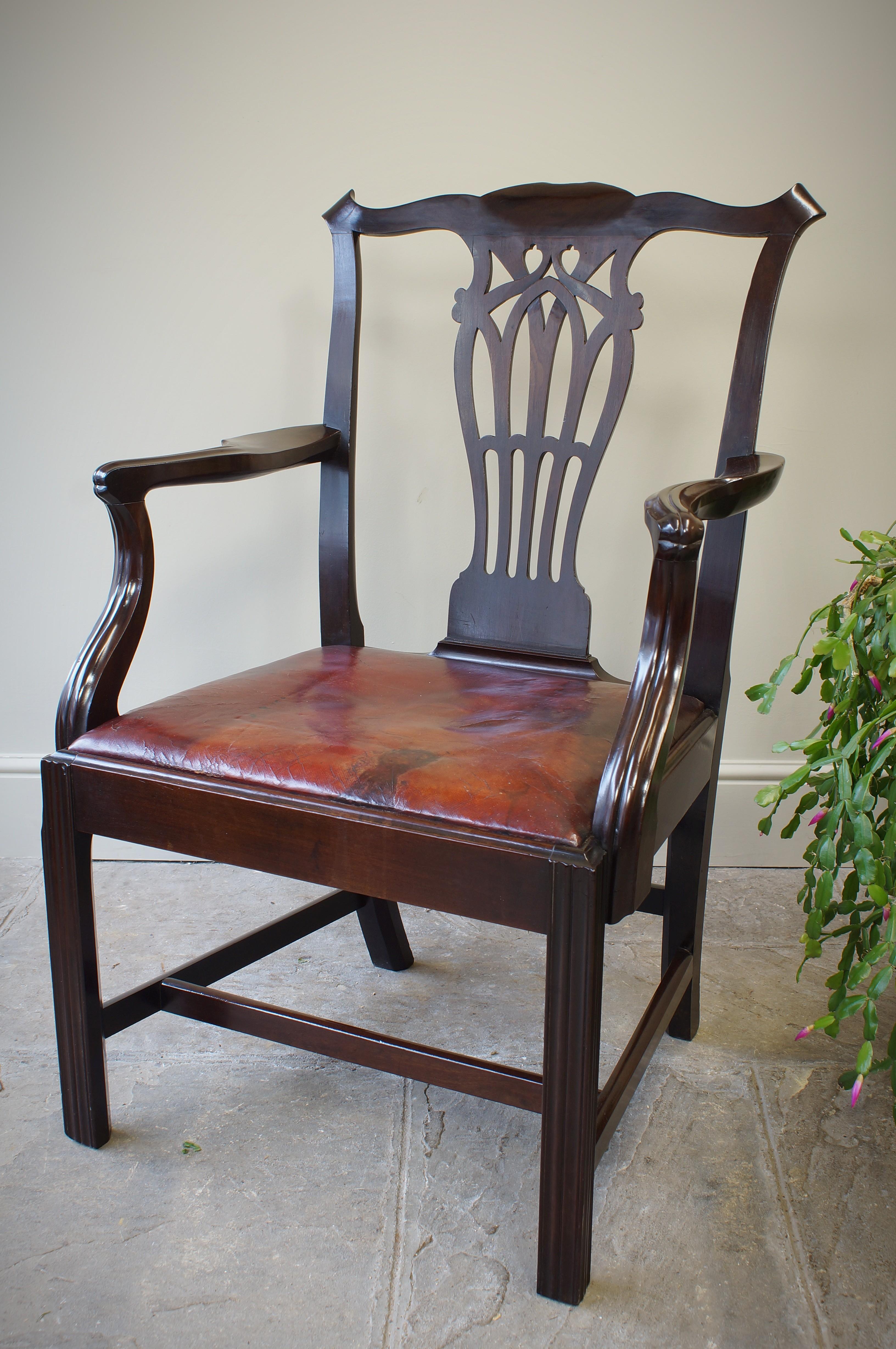 Hand-Carved Scottish George III Laburnum  Carver Armchair Of Generous Proportions. For Sale
