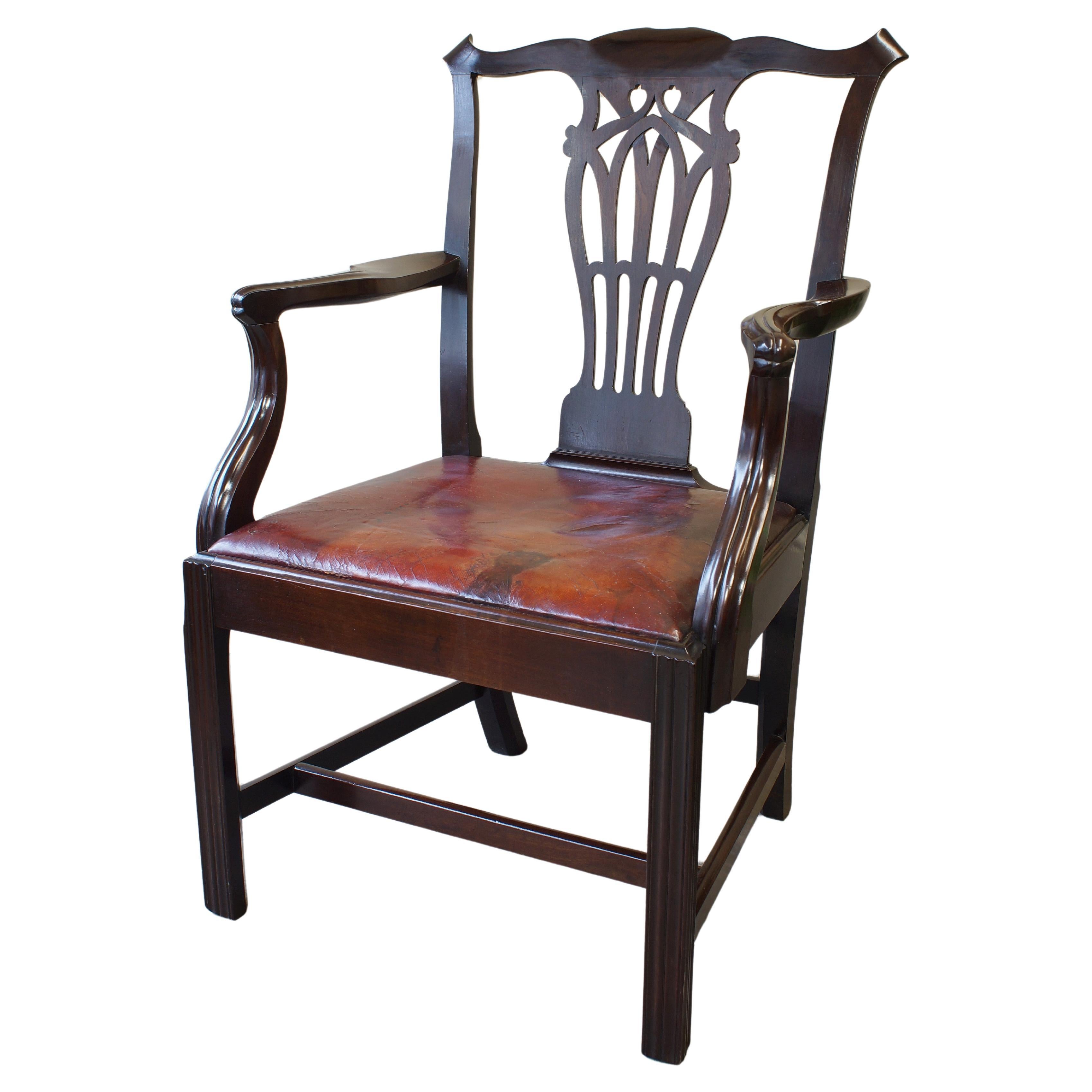 Schottische George III.-Laburnum  Carver-Sessel mit großzügigen Proportionen.