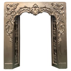 Scottish Georgian Cast Iron Fireplace Insert in the British Rococo Manner