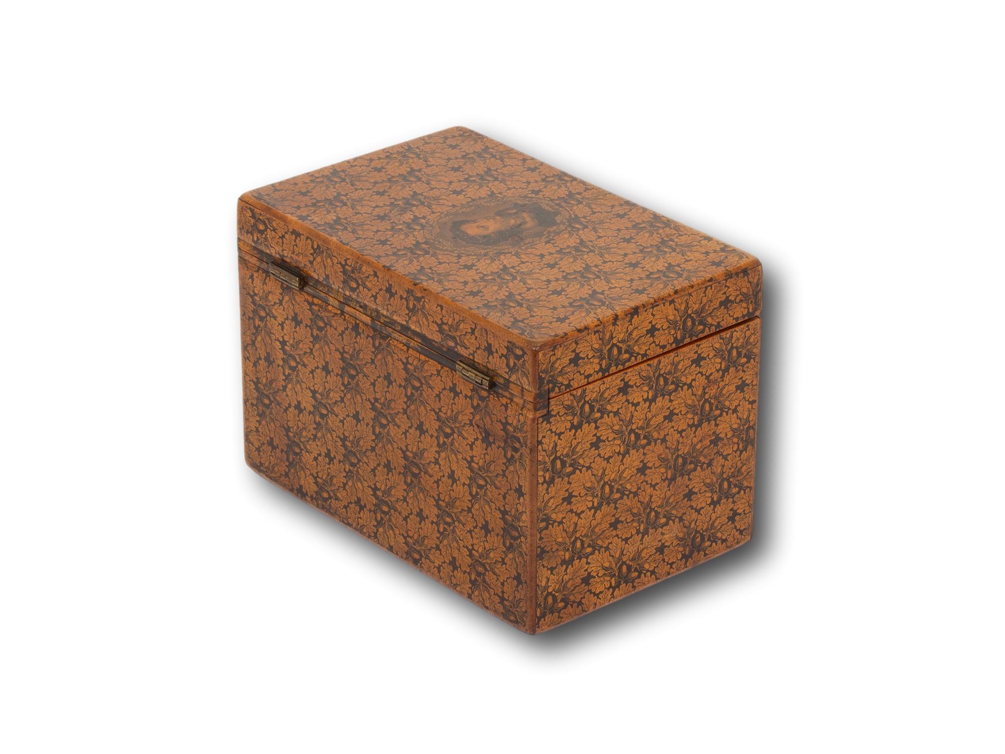 19th Century Scottish Mauchline Ware Tea Caddy Attributed to Smiths For Sale
