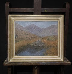 Young Deer in Summer Scottish Highland Glen by Pool of Water