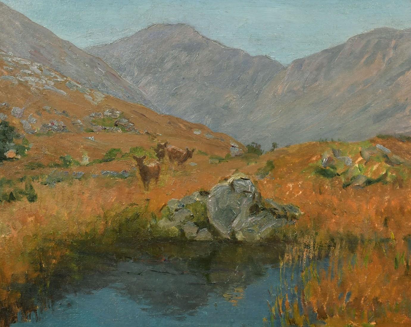 Scottish School Animal Painting - Young Deer in Summer Scottish Highland Glen by Pool of Water