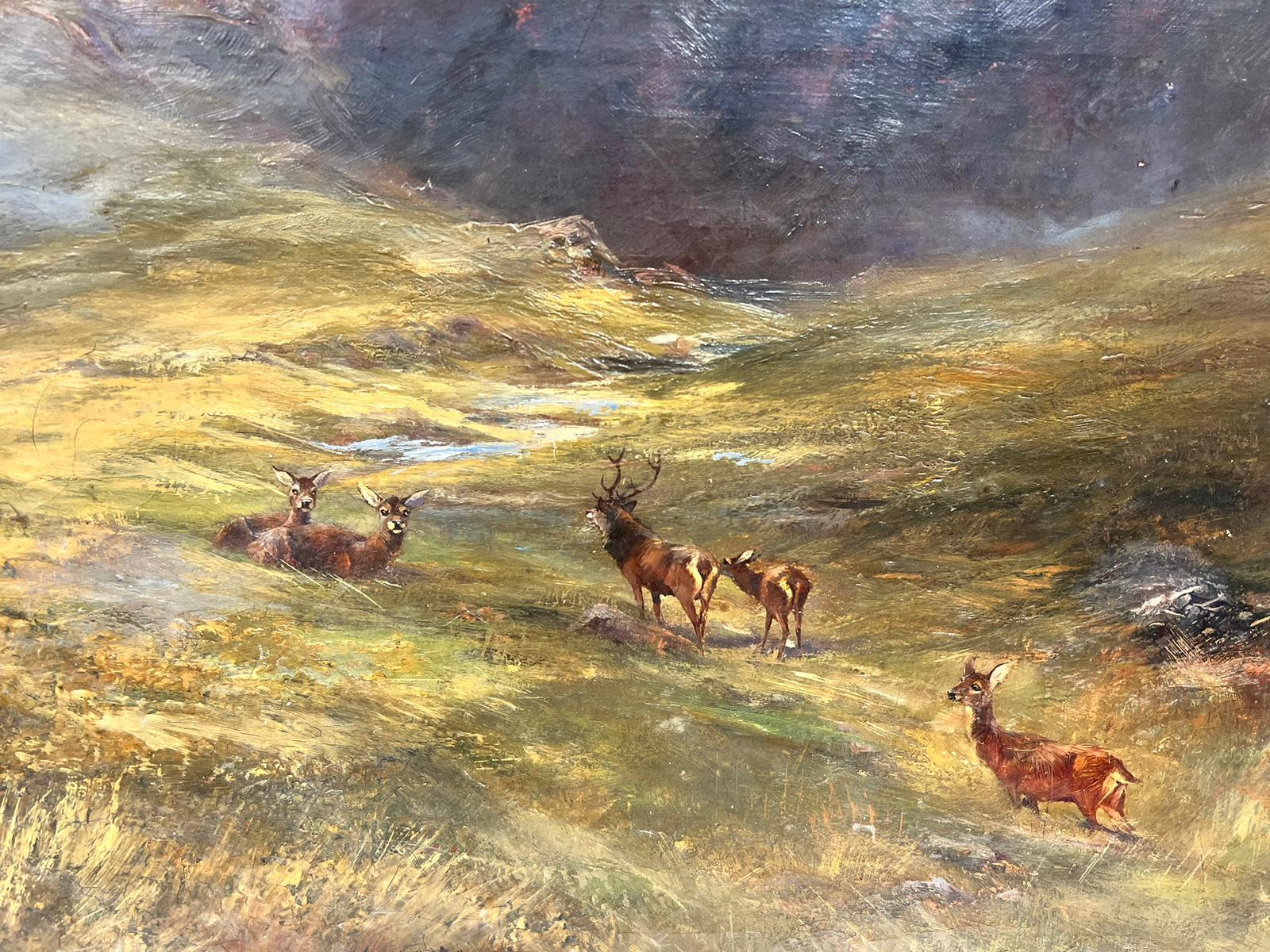 Large Scottish Highlands Landscape Oil Stag with Family of Deer Misty Glen - Victorian Painting by Scottish School