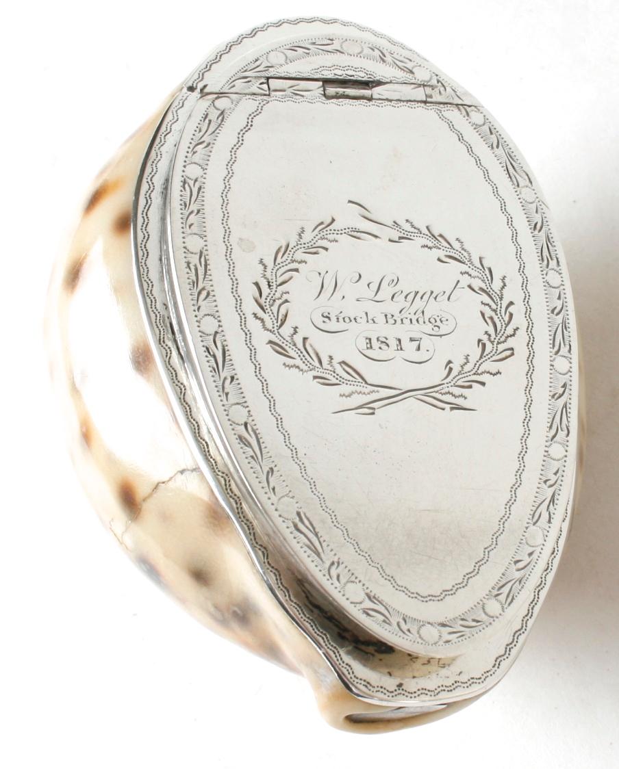 Scottish silver mounted tiger cowary shell snuff box, 1817. The hinged lid is inscribed with 
