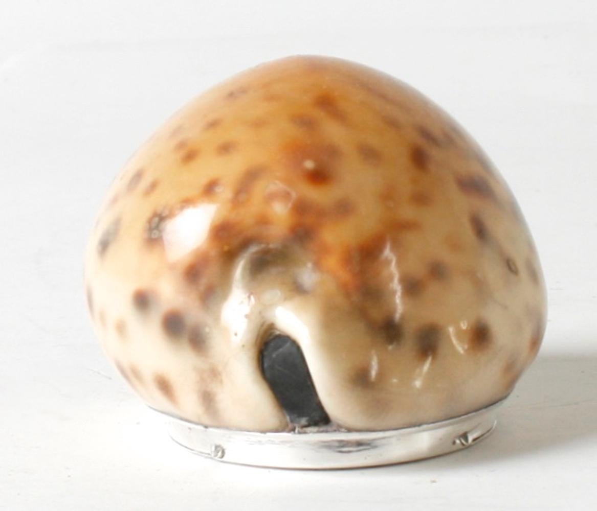 Scottish Silver Mounted Tiger Cowary Shell Snuff Box, 1817 In Good Condition For Sale In valatie, NY