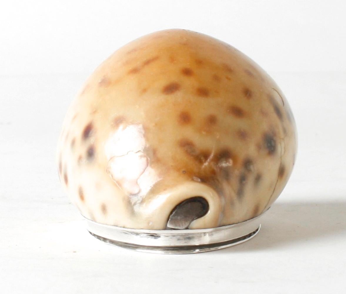 19th Century Scottish Silver Mounted Tiger Cowary Shell Snuff Box, 1817 For Sale