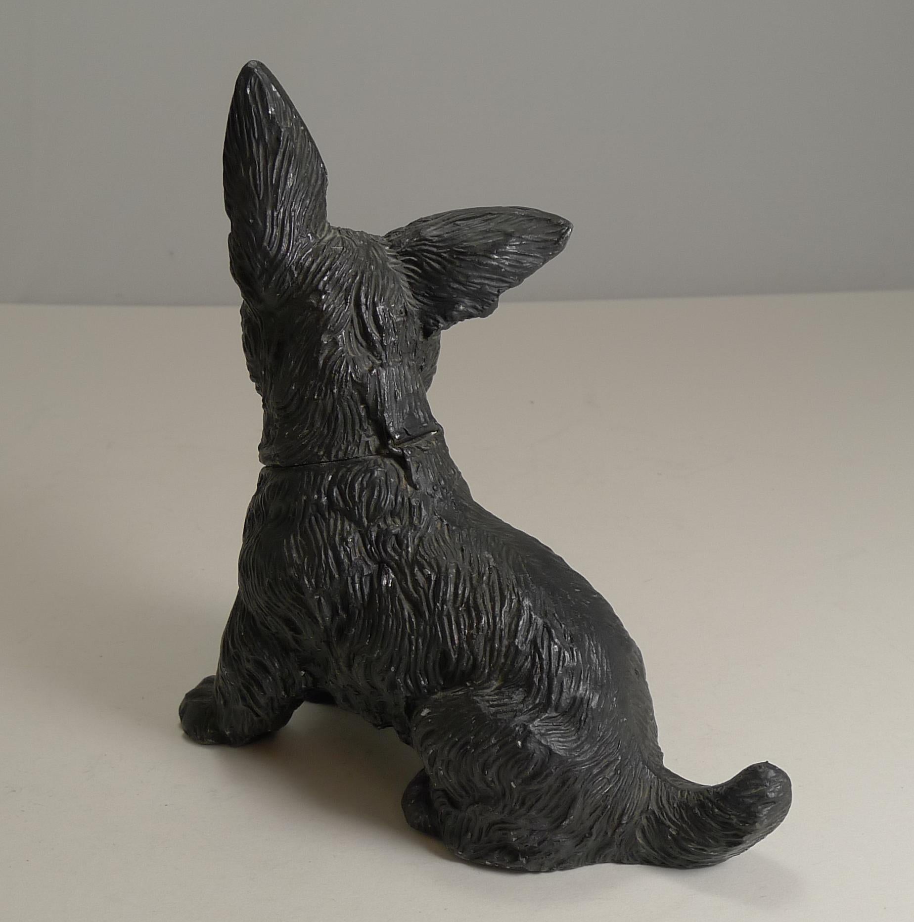 A fine and charming novelty inkwell made from spelter and painted, retaining most of the paintwork.

In the form of a Scottish Terrier Pup / Scottie Dog, he has the most wonderful playful face brought to like with his two glass eyes.

The hinged