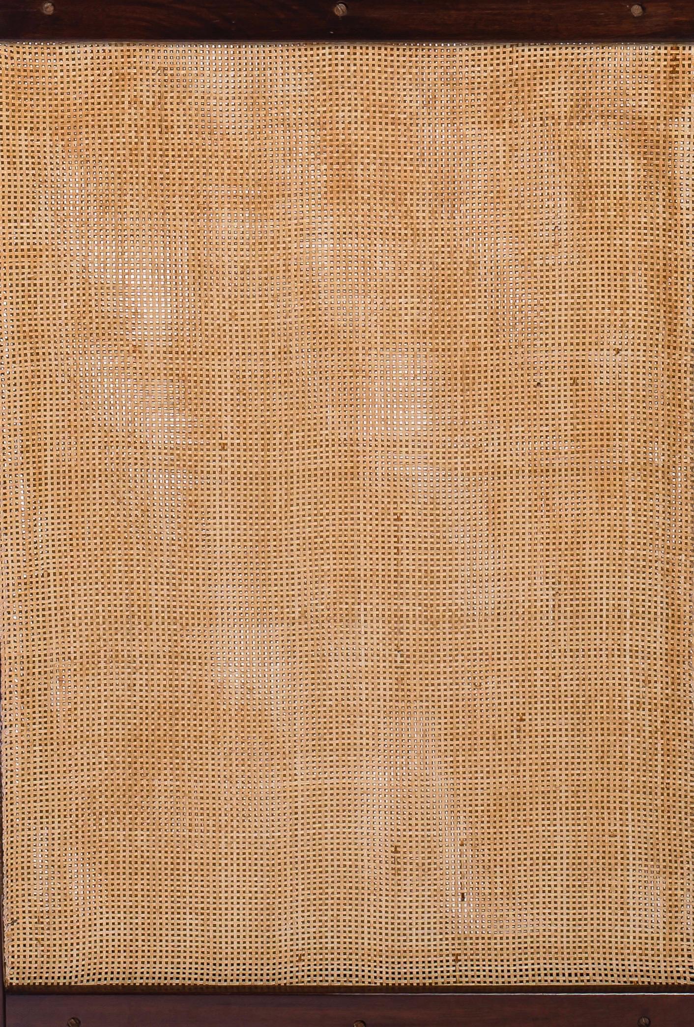 Canna Schermo in vendita