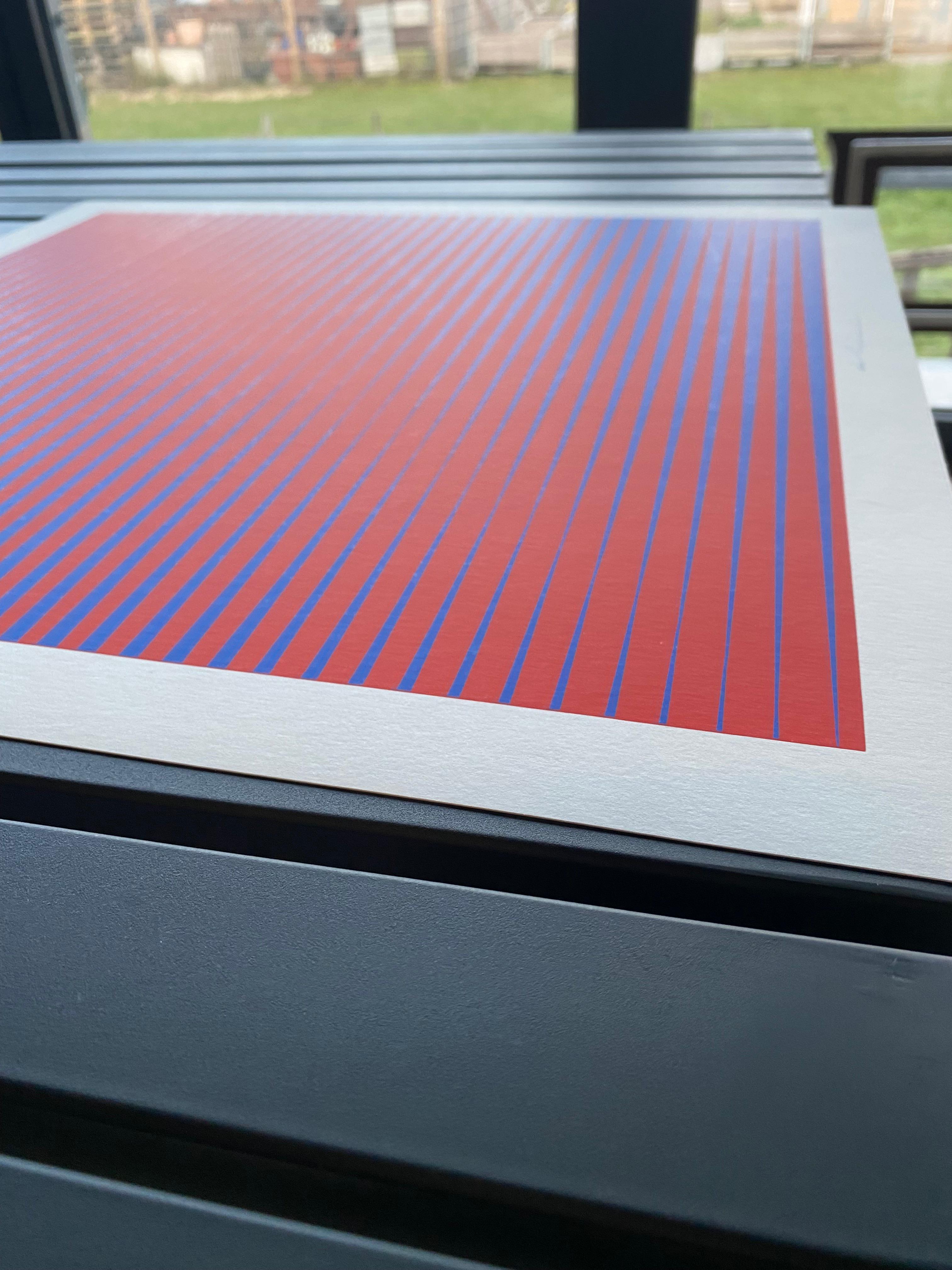Serigrafía en buen estado del artista italiano de Op-Art Getulio Alviani. en venta 7