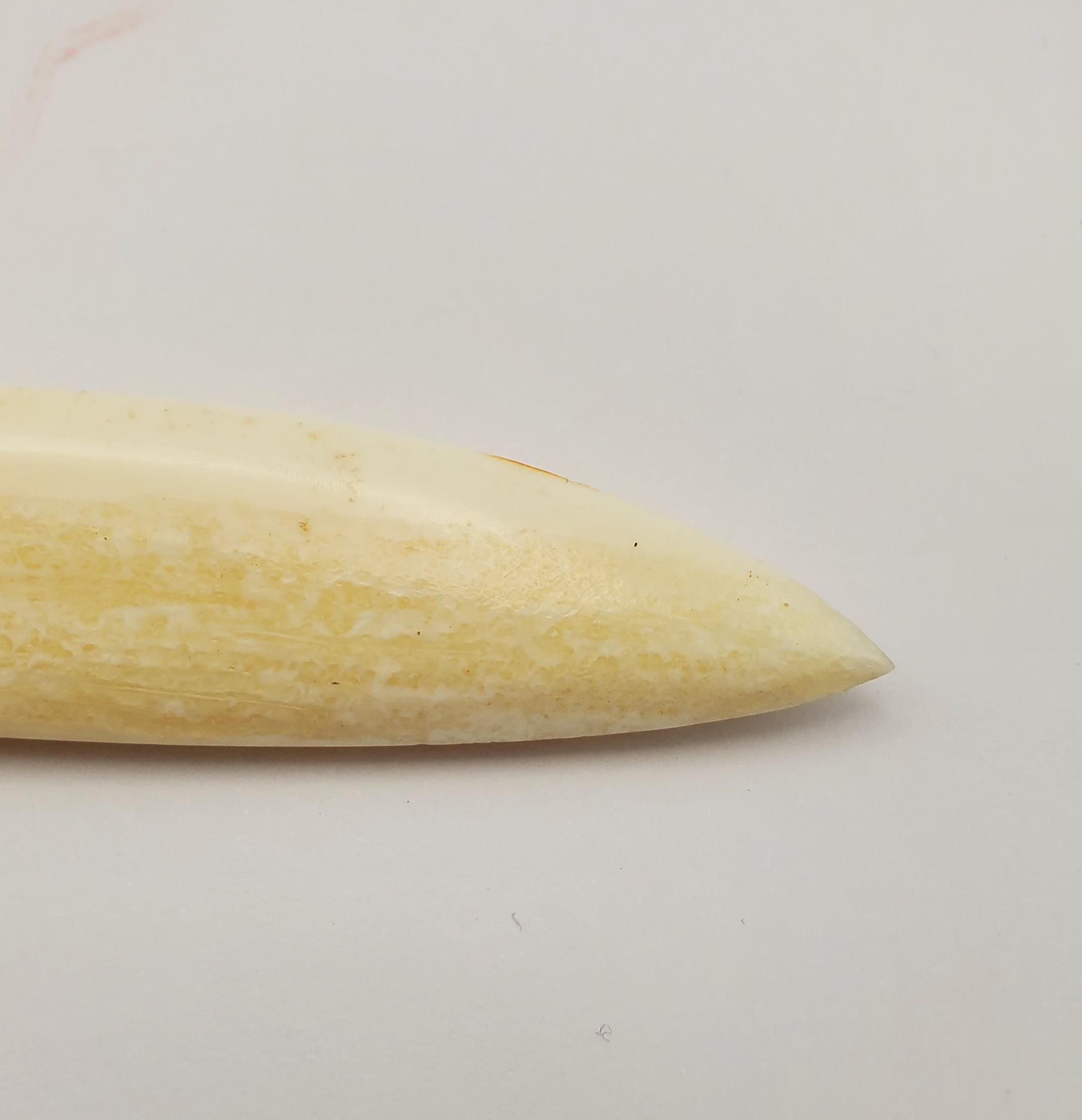 Scrimshaw Carved Walrus Ivory Tusk Inuit Spotted Seal Knife For Sale 2