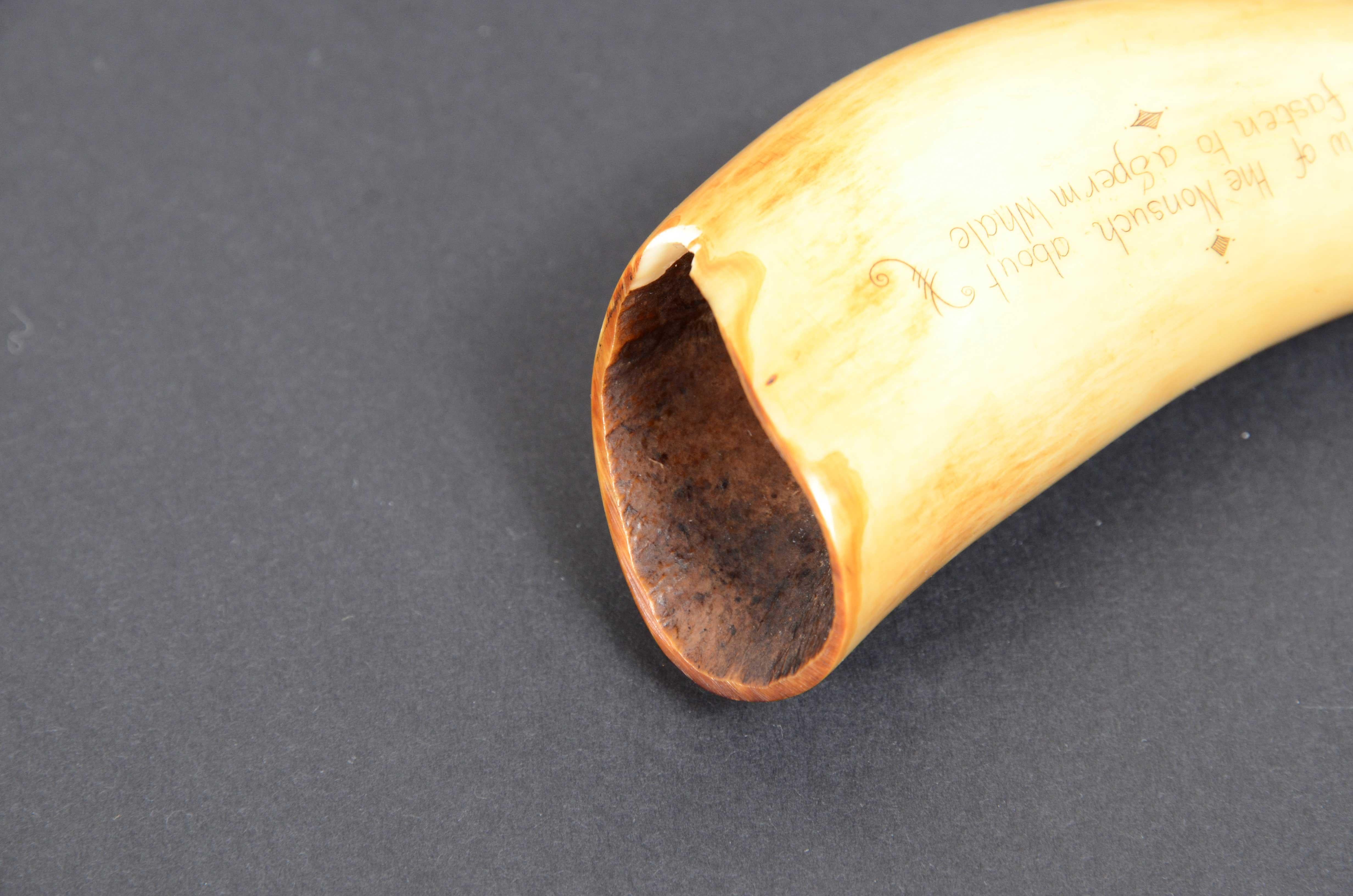 Scrimshaw dente di balena inciso di pregevole fattura databile attorno al 1850 In condizioni buone a Milan, IT