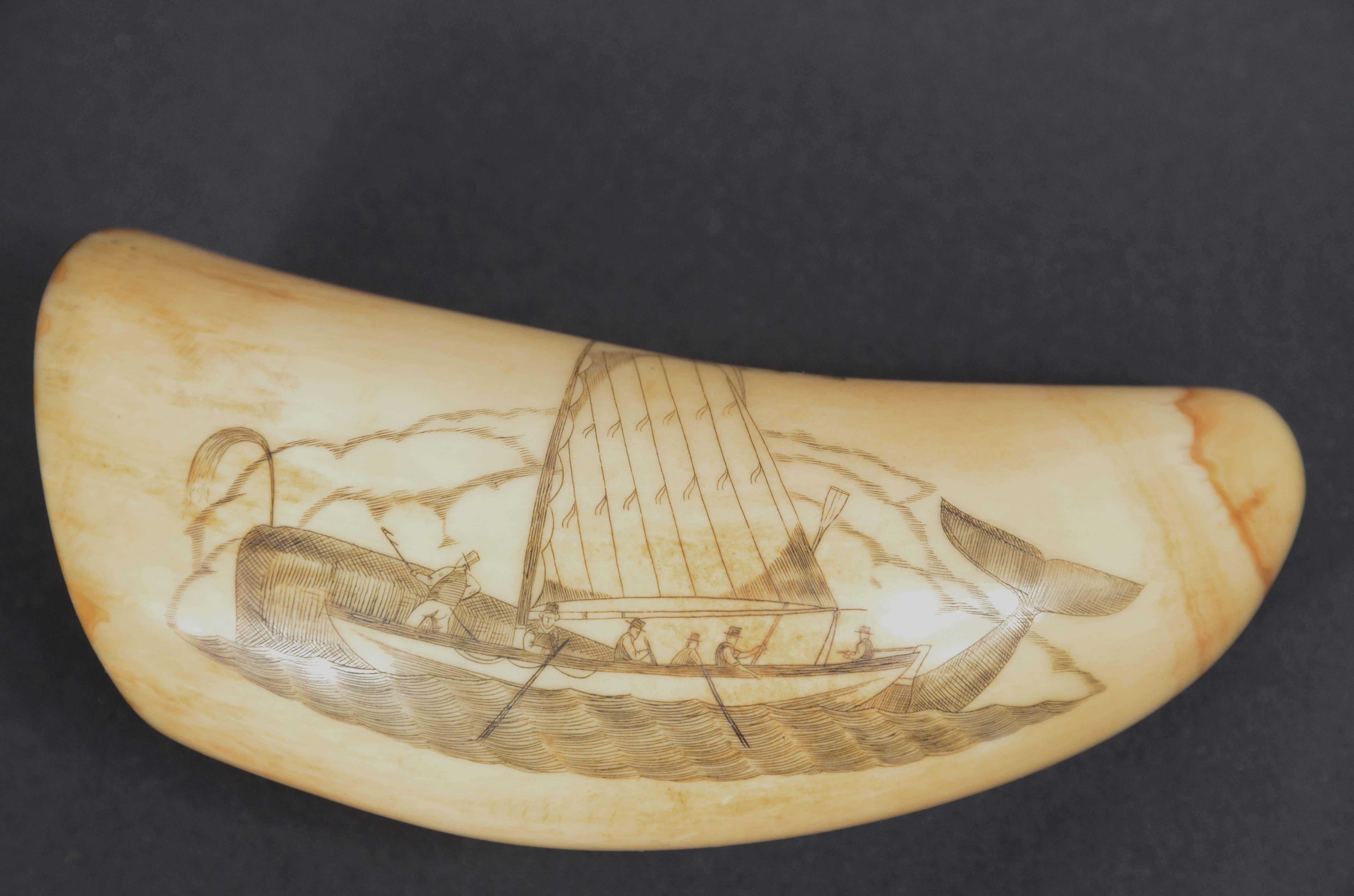 Scrimshaw whale tooth engraving of fine workmanship dated around 1850 For Sale 1