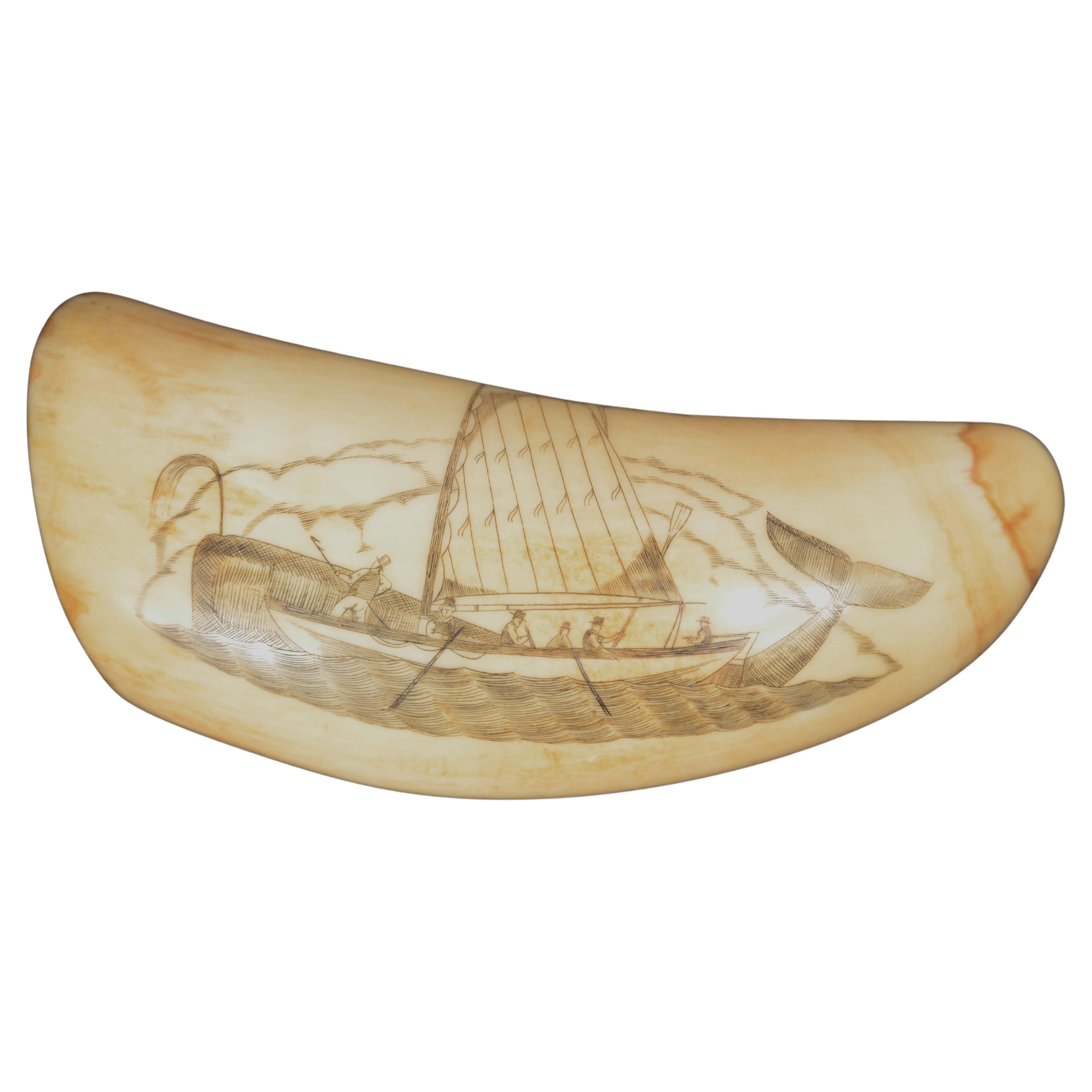 Scrimshaw whale tooth engraving of fine workmanship dated around 1850 For Sale