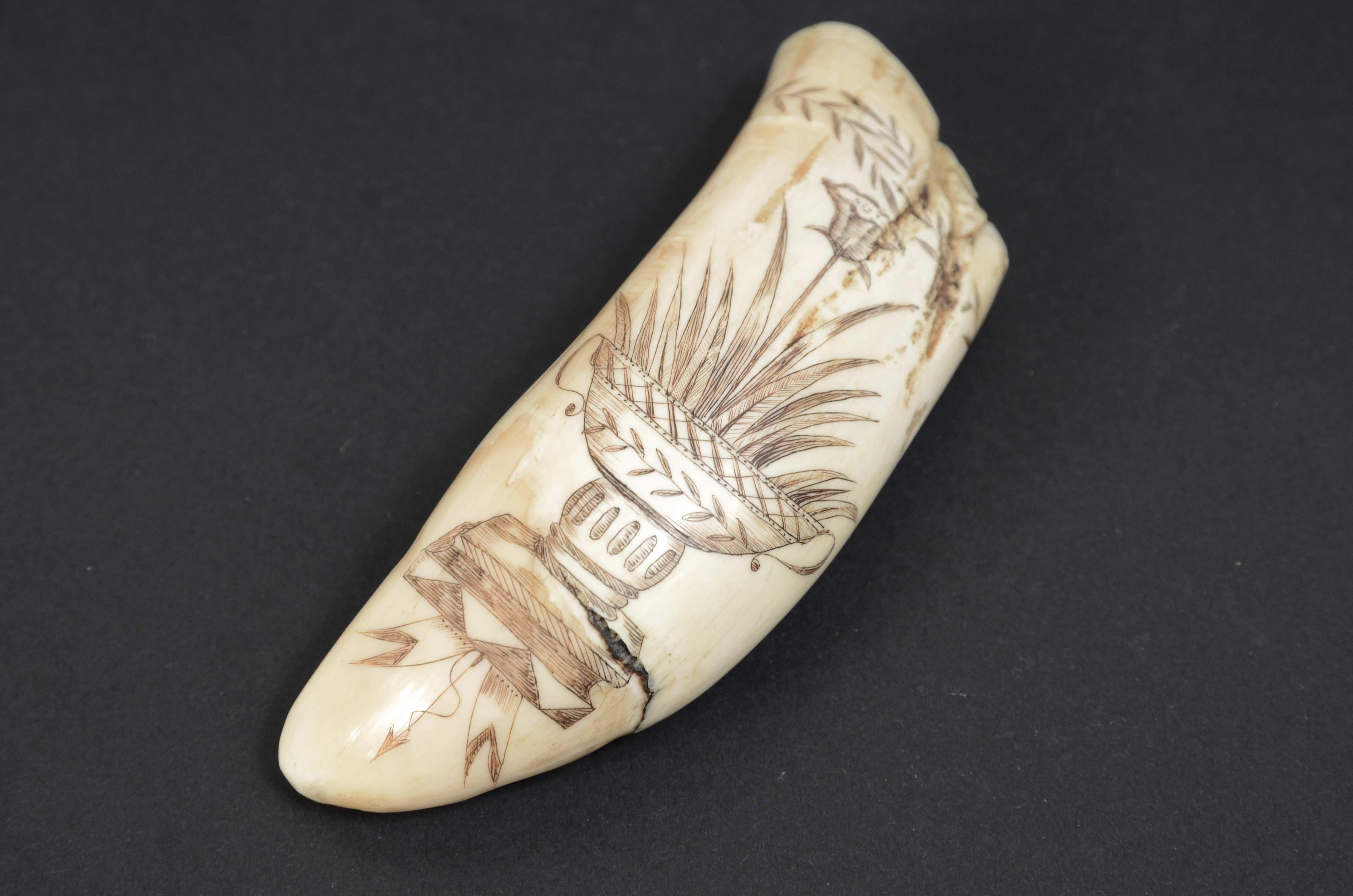 19th Century Scrimshaw of whale tooth with whaler named Fox and engraved Greek vase 1850s