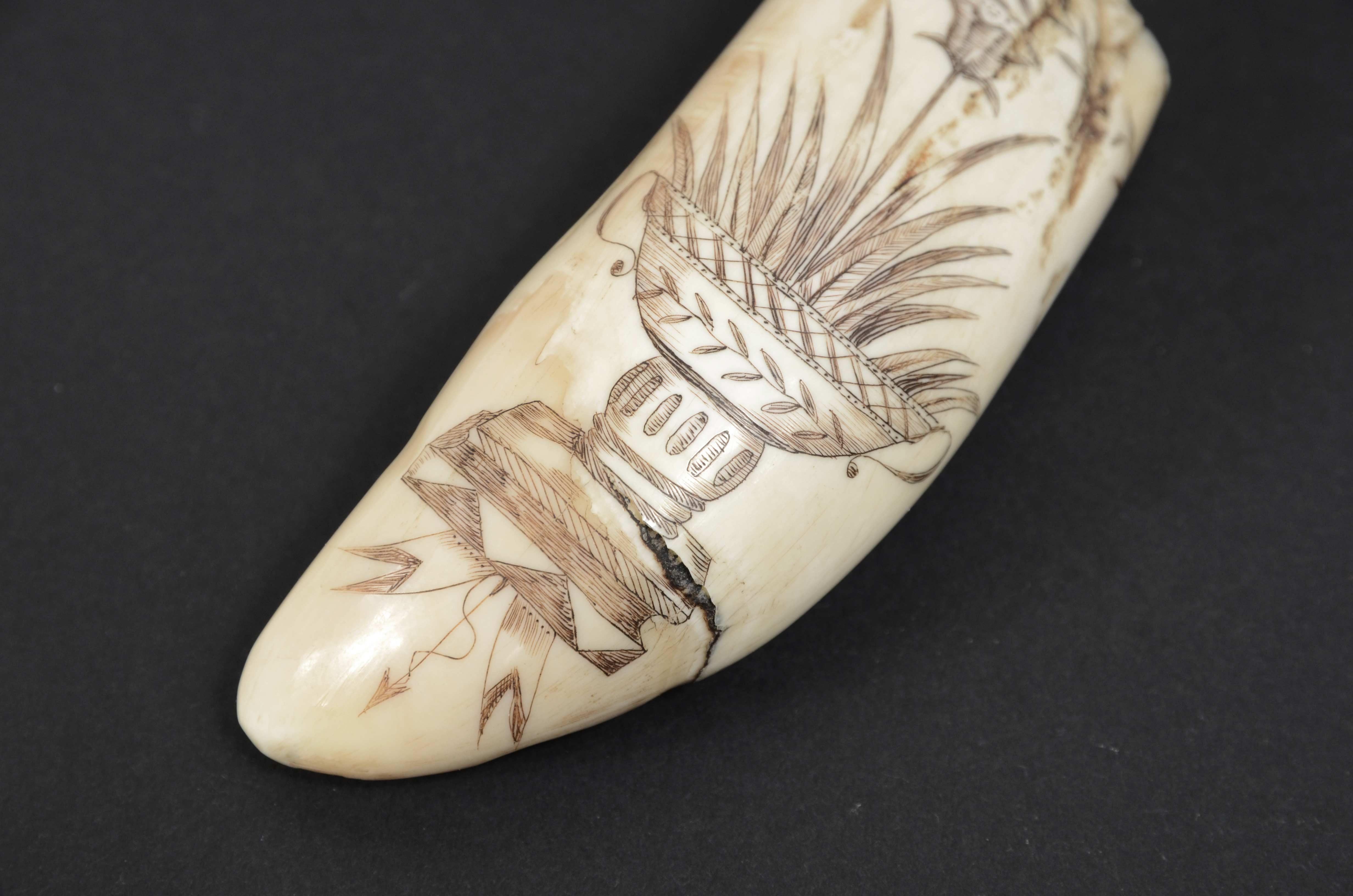 Bone Scrimshaw of whale tooth with whaler named Fox and engraved Greek vase 1850s