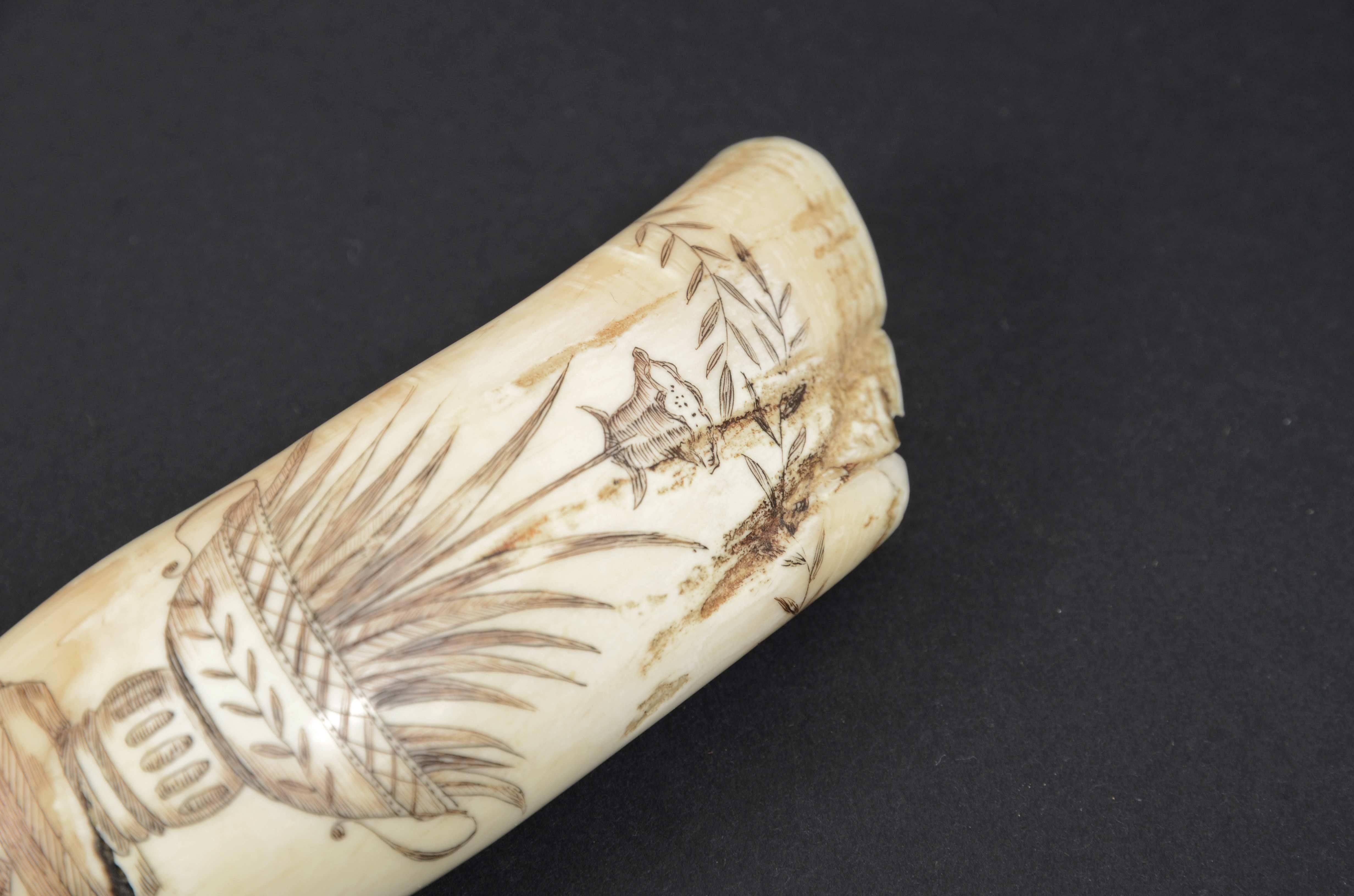 Scrimshaw of whale tooth with whaler named Fox and engraved Greek vase 1850s 1
