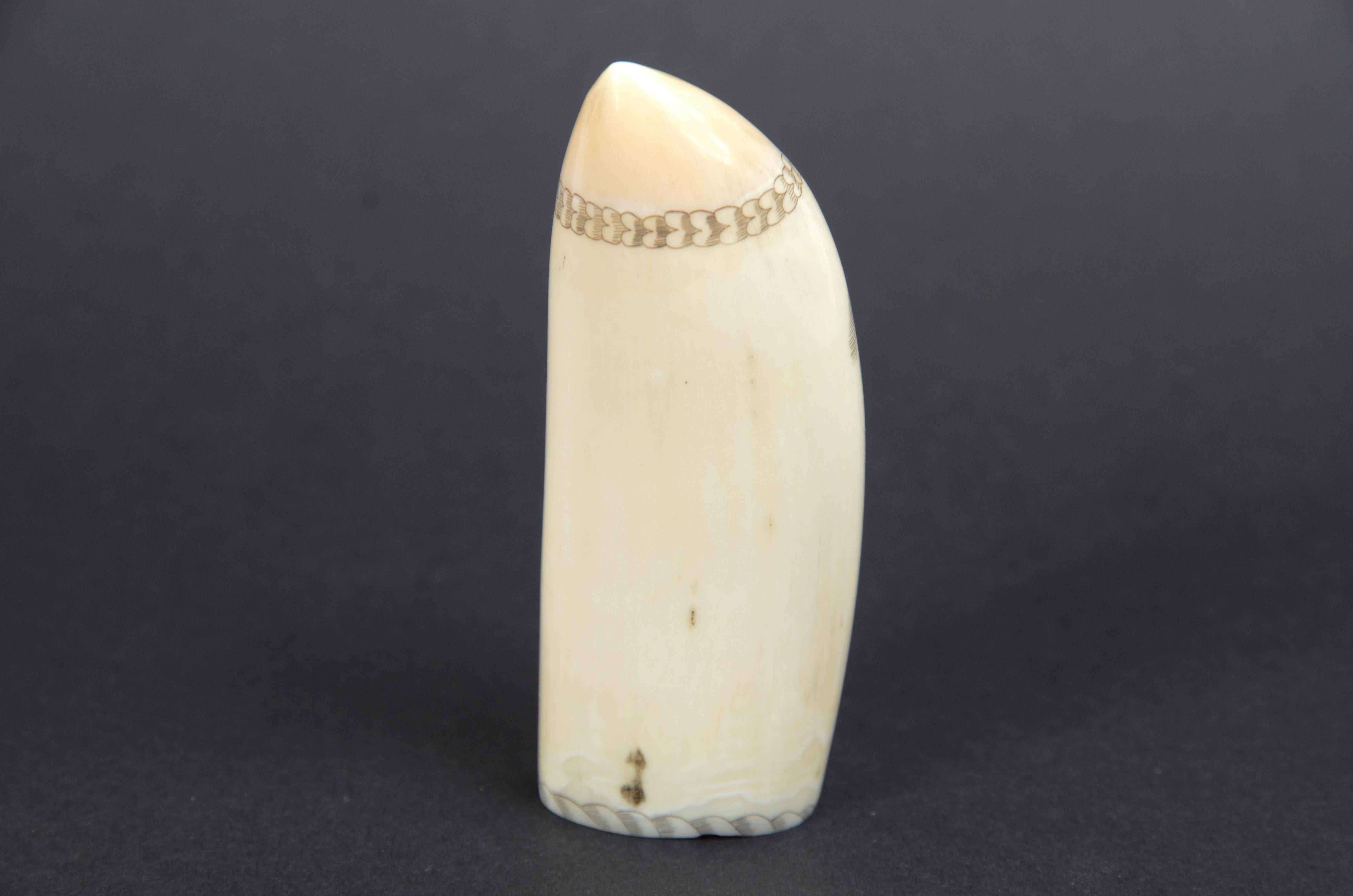 Scrimshaw of whale tooth with vertically engraved mermaid mid-19th century 5