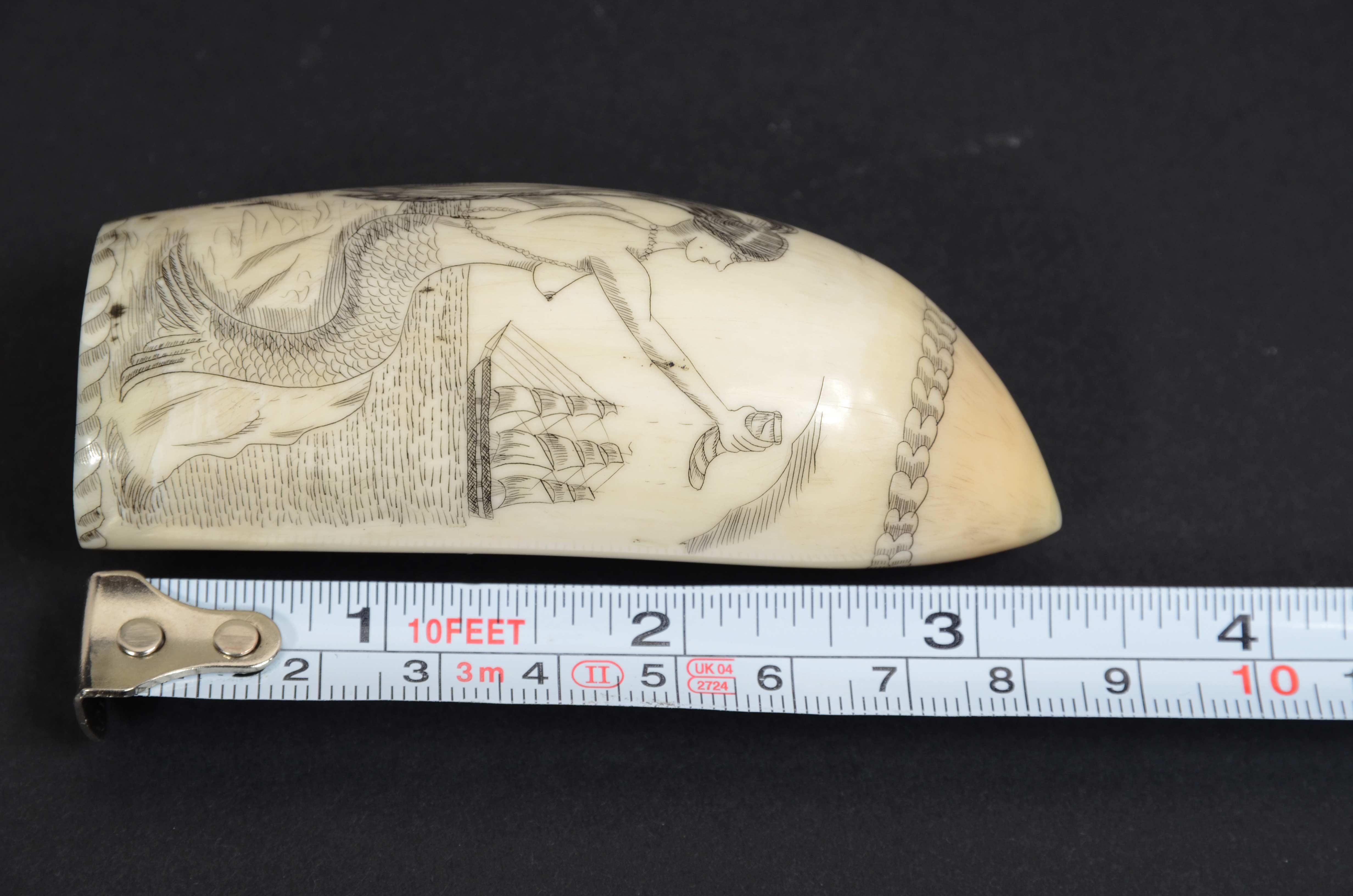 Scrimshaw of whale tooth with vertically engraved mermaid mid-19th century 7
