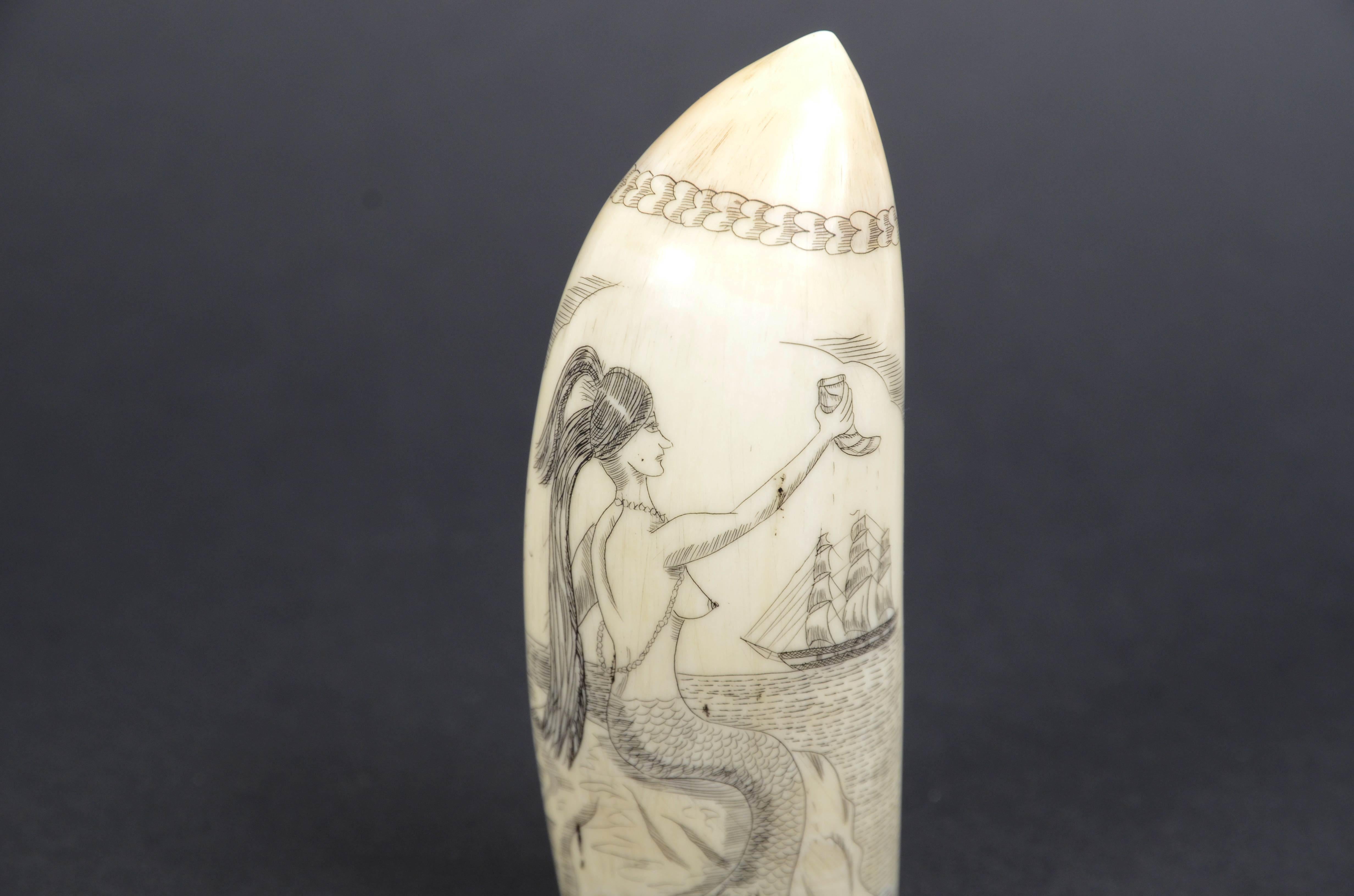 19th Century Scrimshaw of whale tooth with vertically engraved mermaid mid-19th century