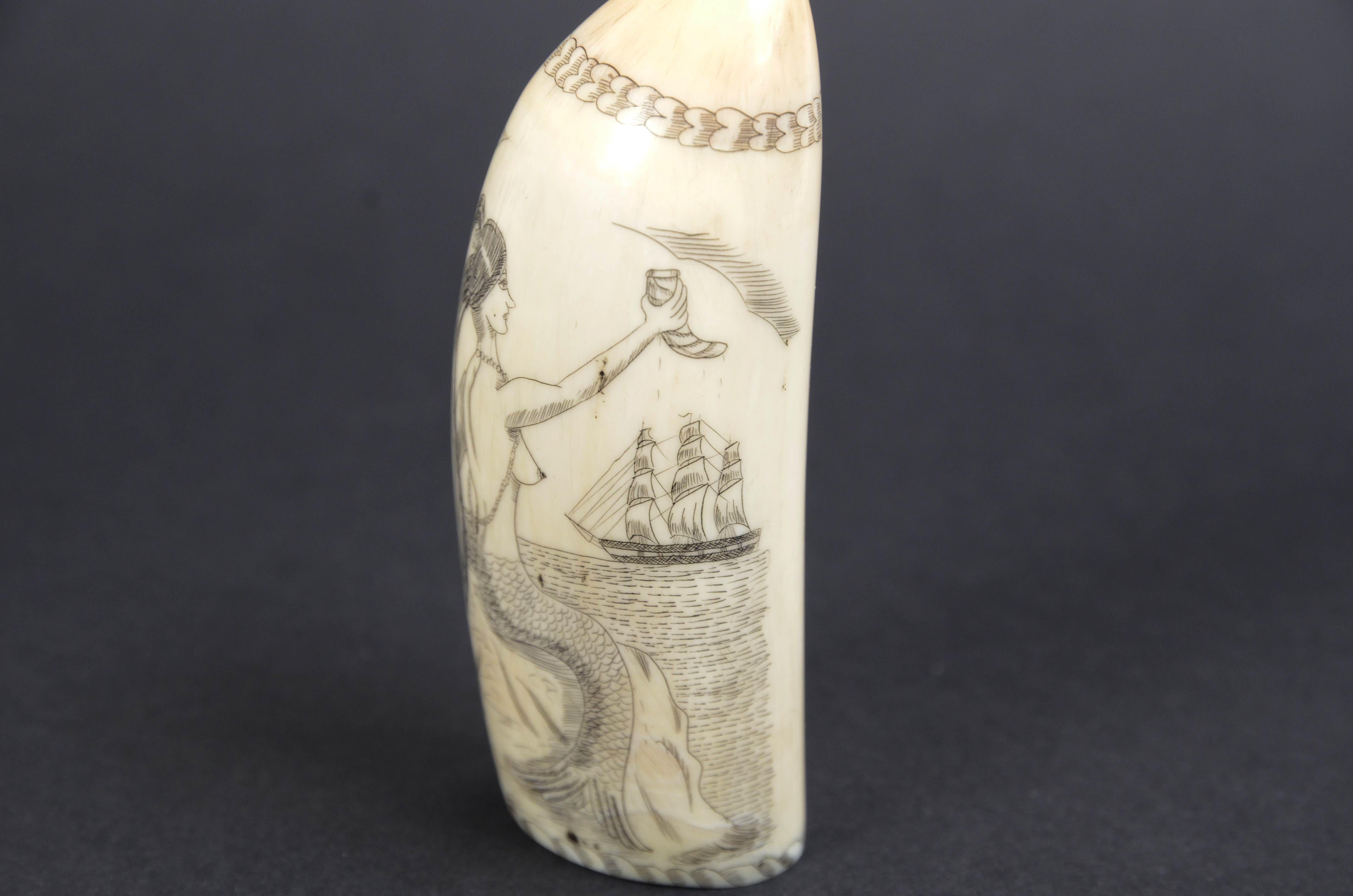 Teeth Scrimshaw of whale tooth with vertically engraved mermaid mid-19th century