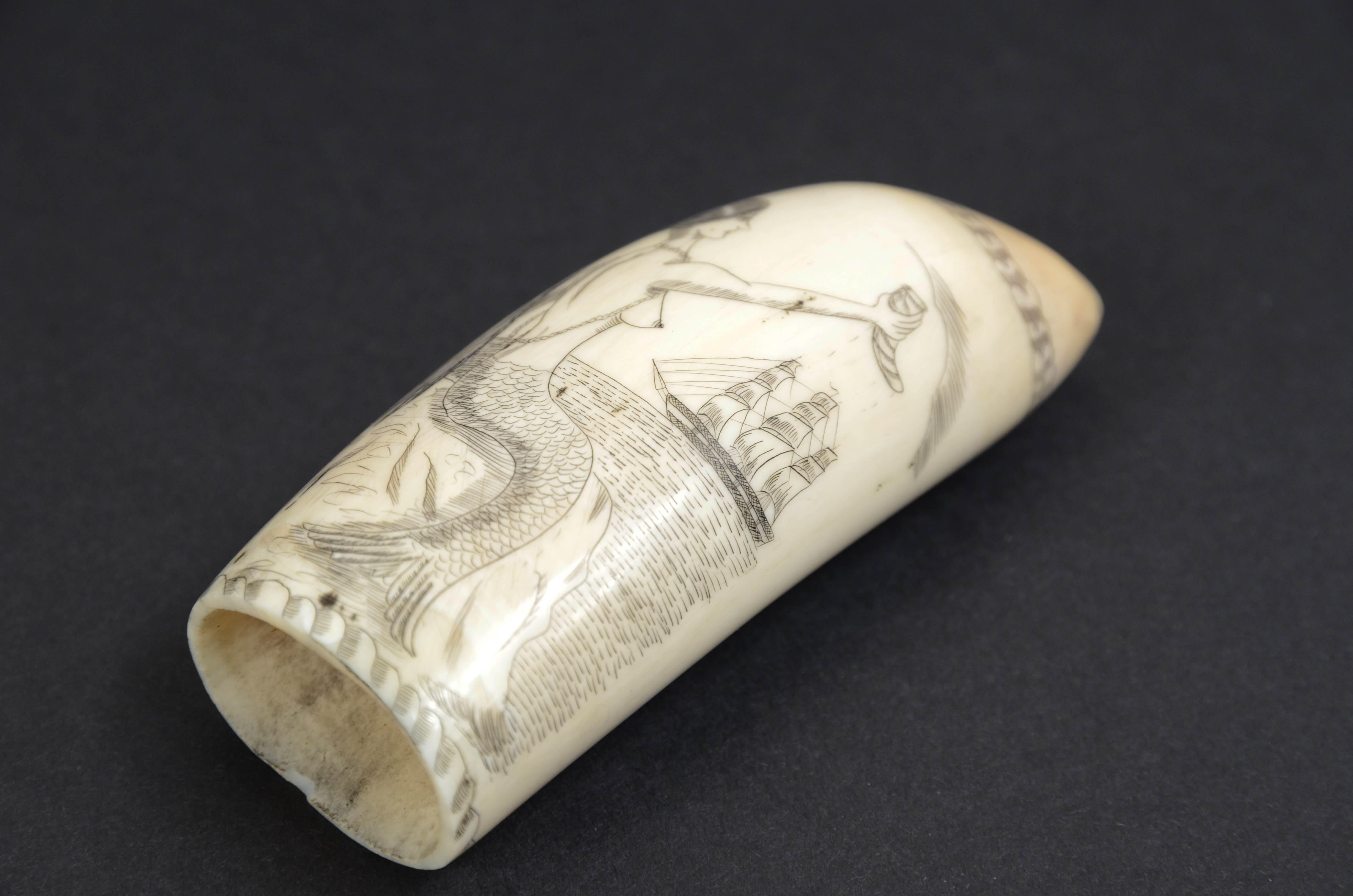 Scrimshaw of whale tooth with vertically engraved mermaid mid-19th century 2