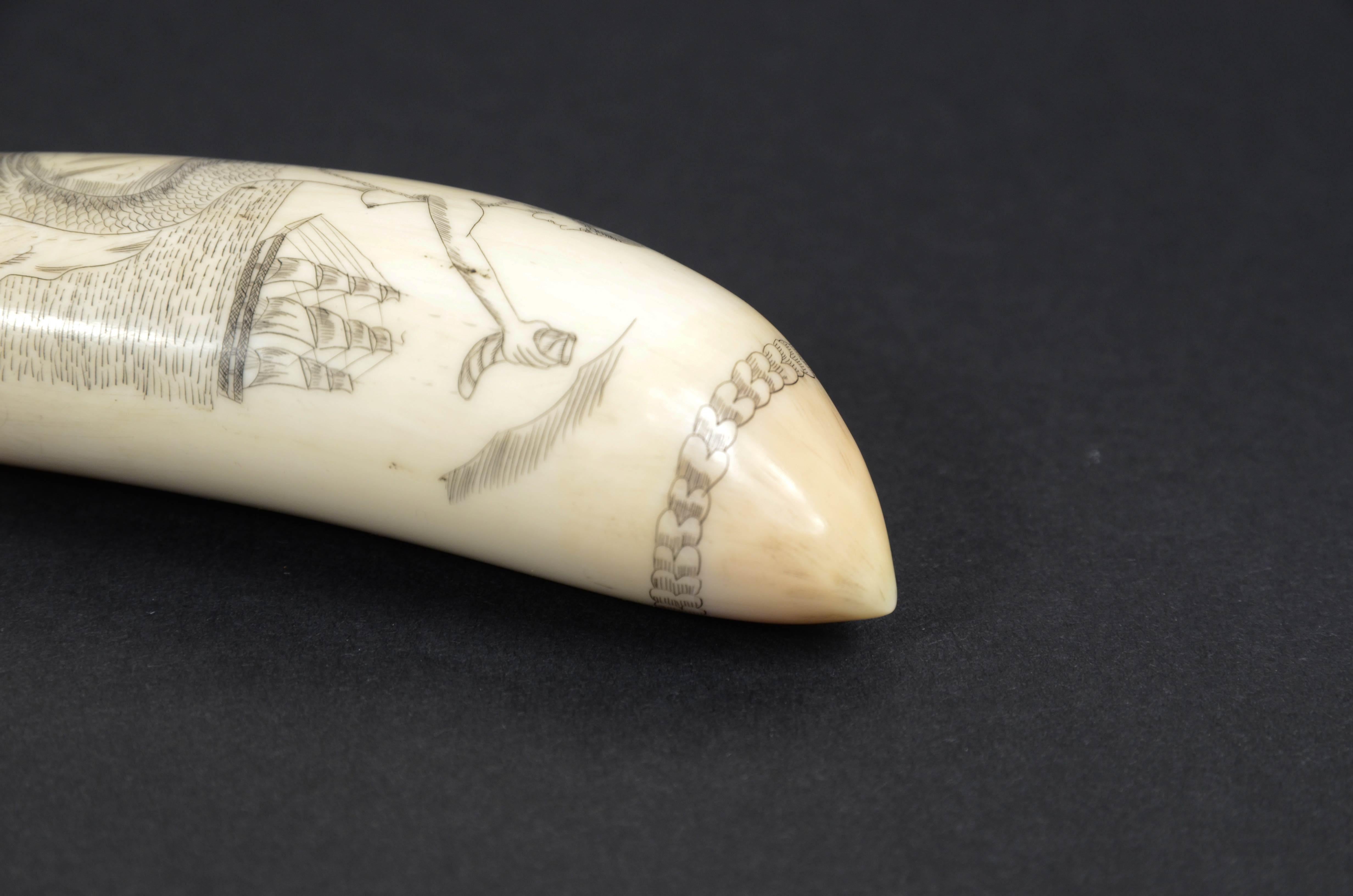 Scrimshaw of whale tooth with vertically engraved mermaid mid-19th century 3