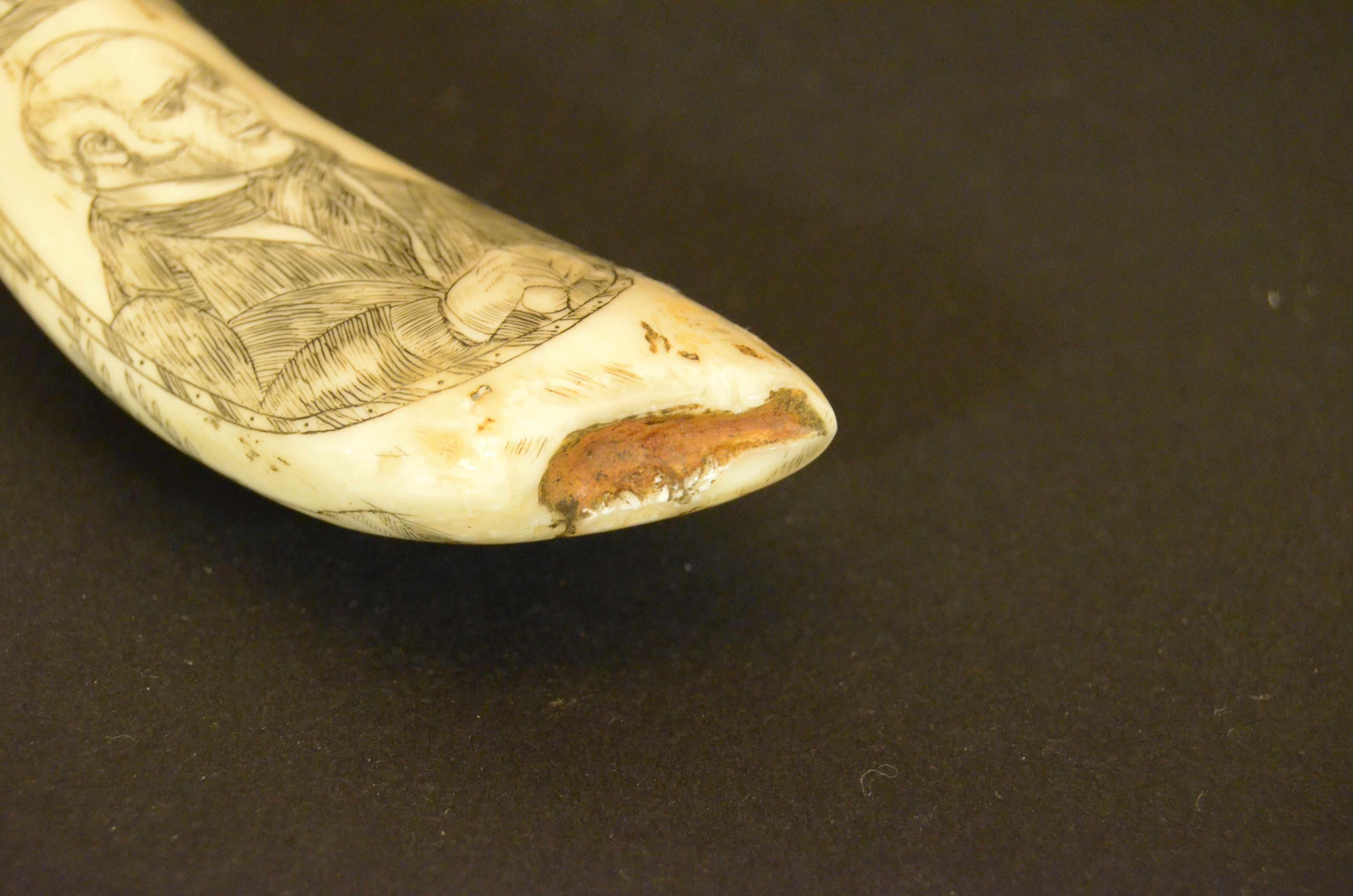 Gravierte Walzahn-Scrimshaw mit Pyramidenstumpf von 1820 und Mensch im Angebot 9