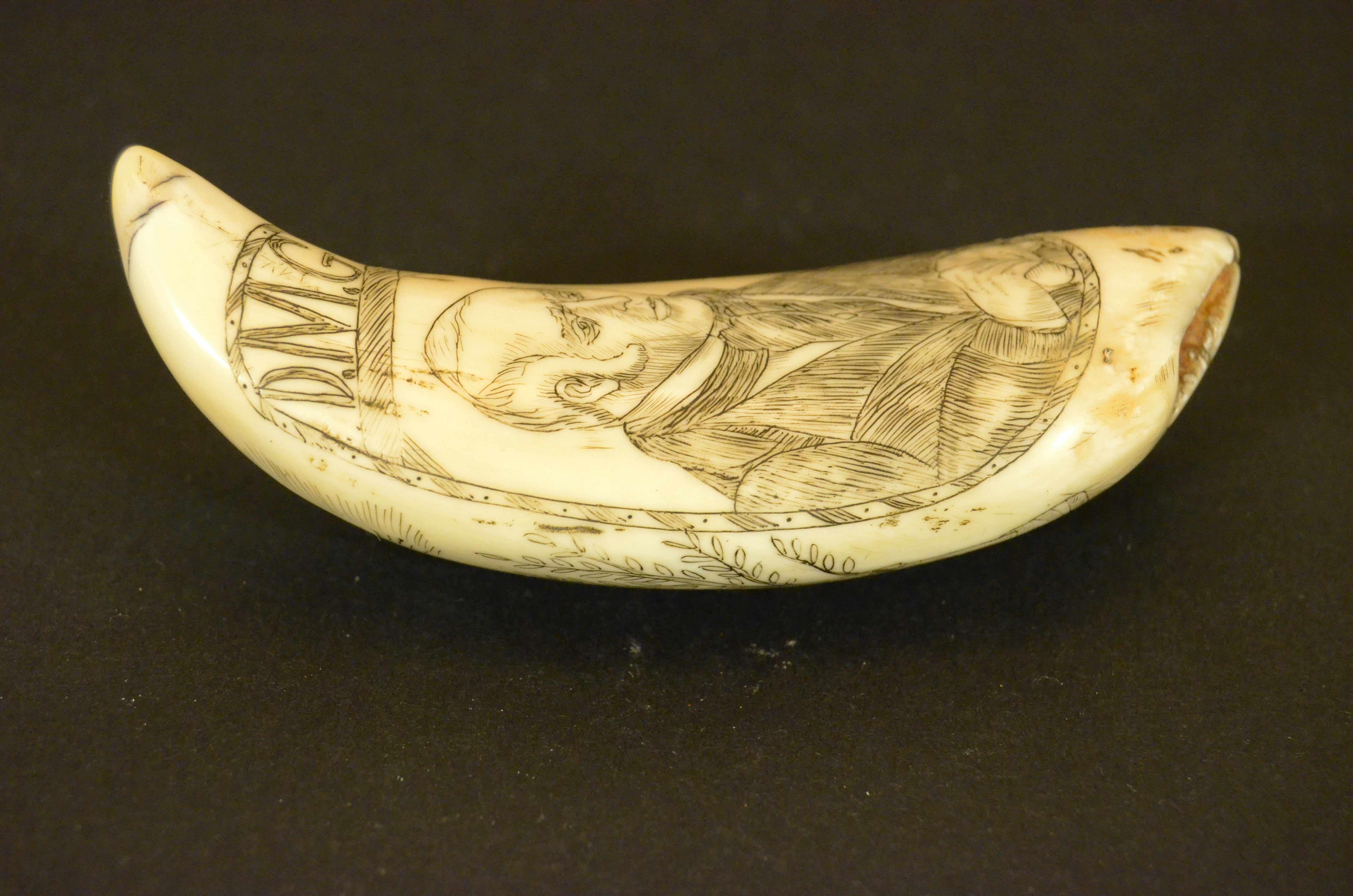 Scrimshaw of whale tooth engraved with 1820s truncated pyramid cippus and Man For Sale 11