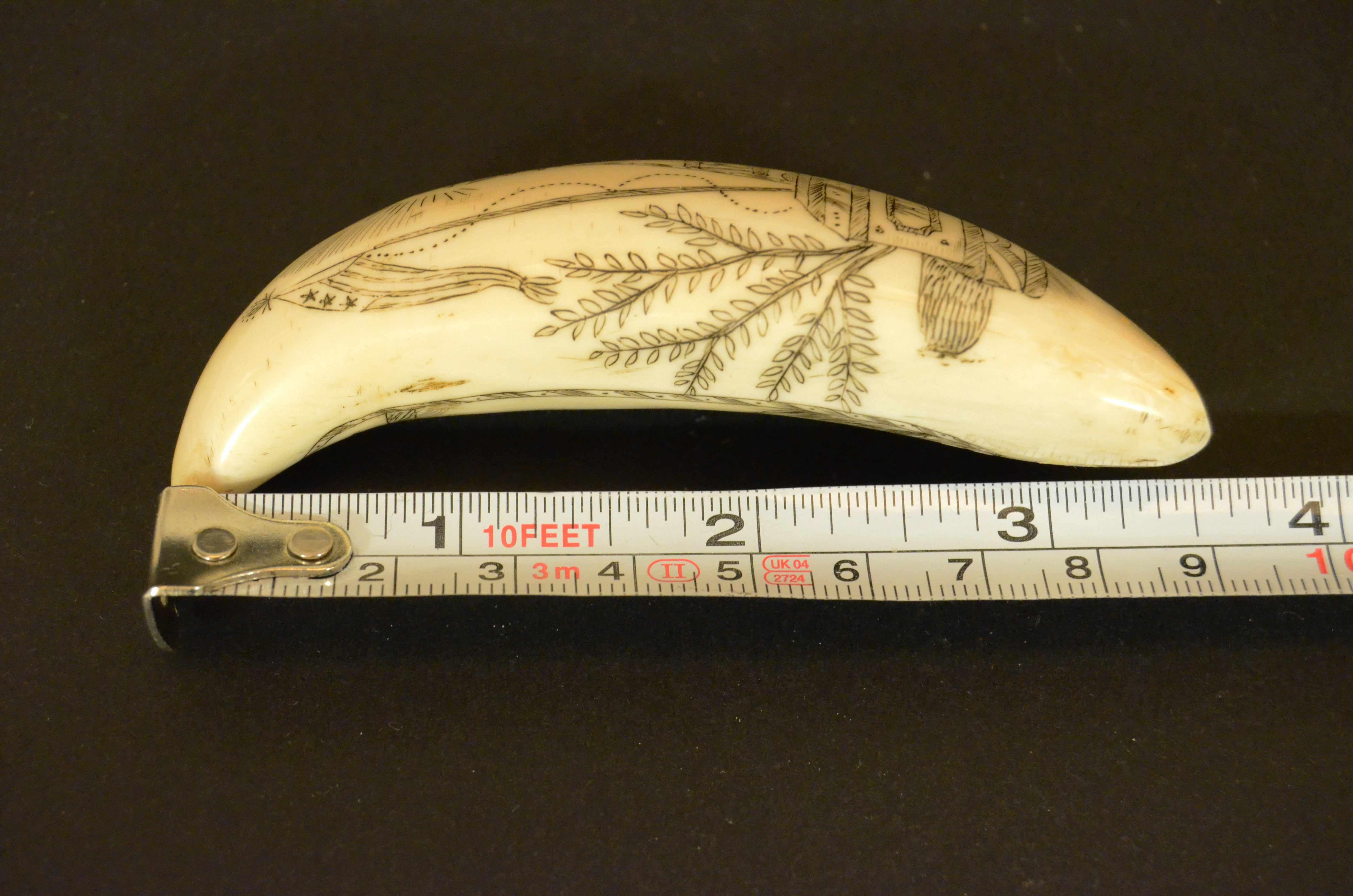 Scrimshaw of whale tooth engraved with 1820s truncated pyramid cippus and Man For Sale 12