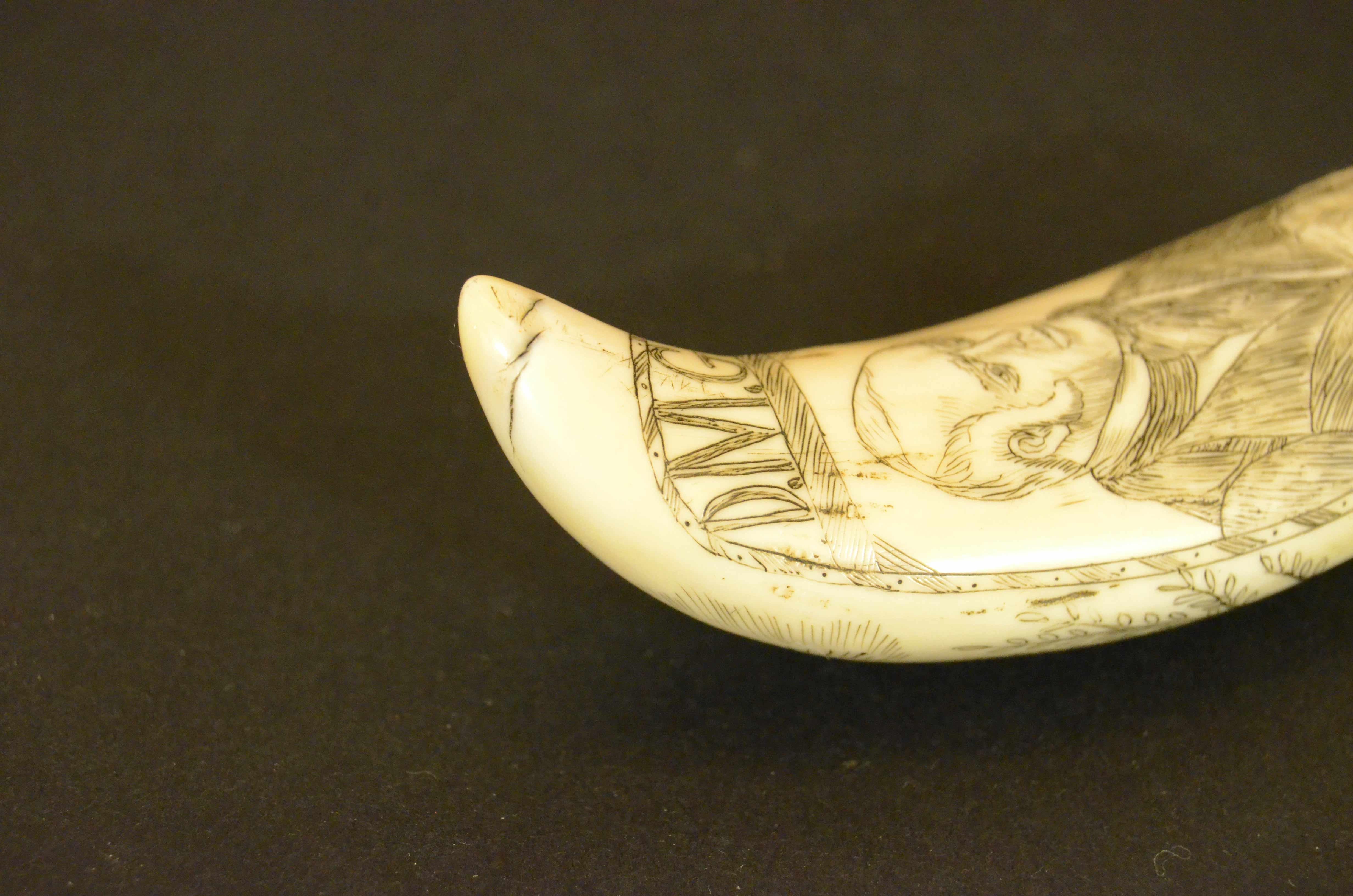 Scrimshaw of whale tooth engraved with 1820s truncated pyramid cippus and Man For Sale 3