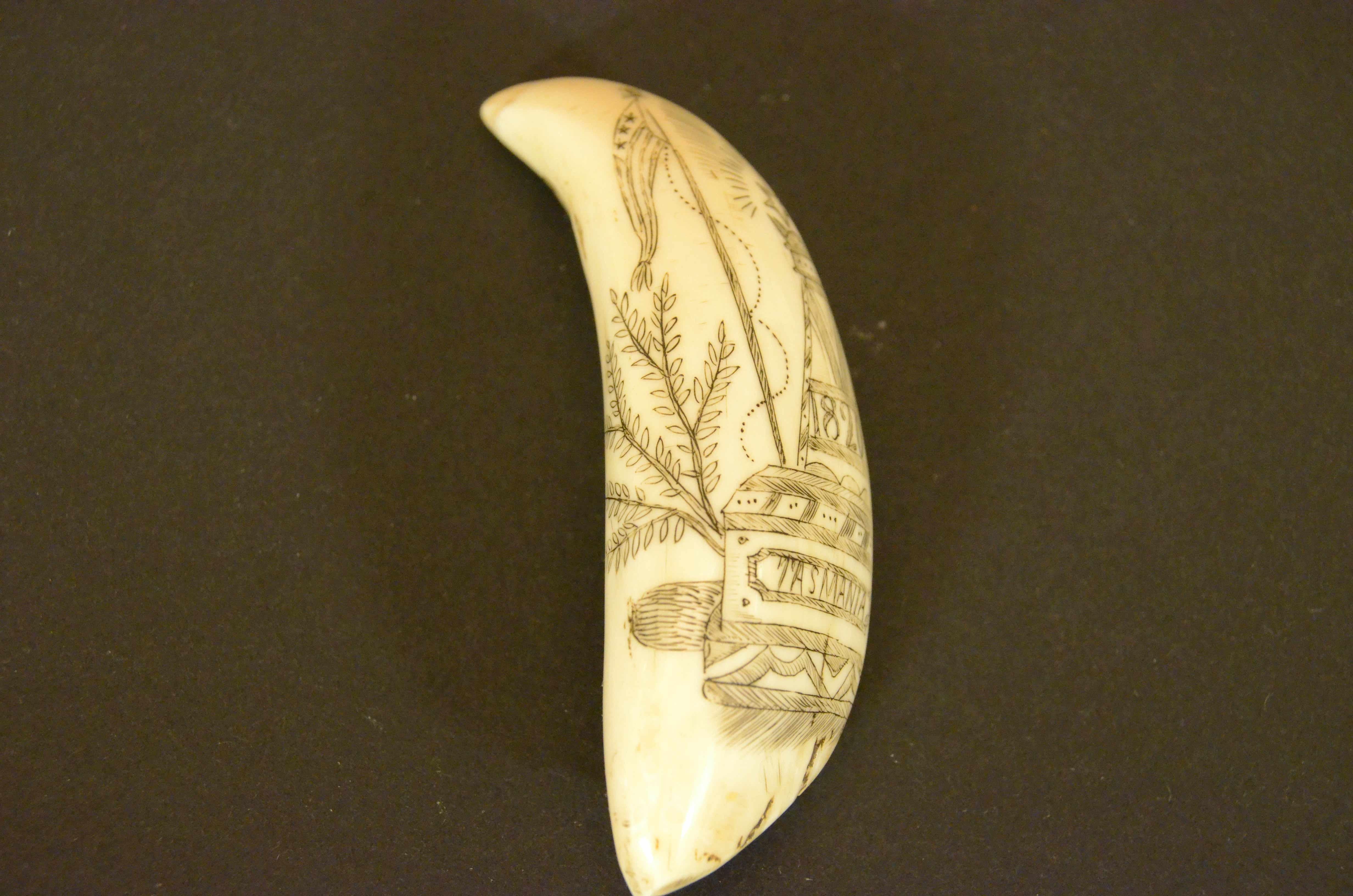 Gravierte Walzahn-Scrimshaw mit Pyramidenstumpf von 1820 und Mensch im Angebot 3