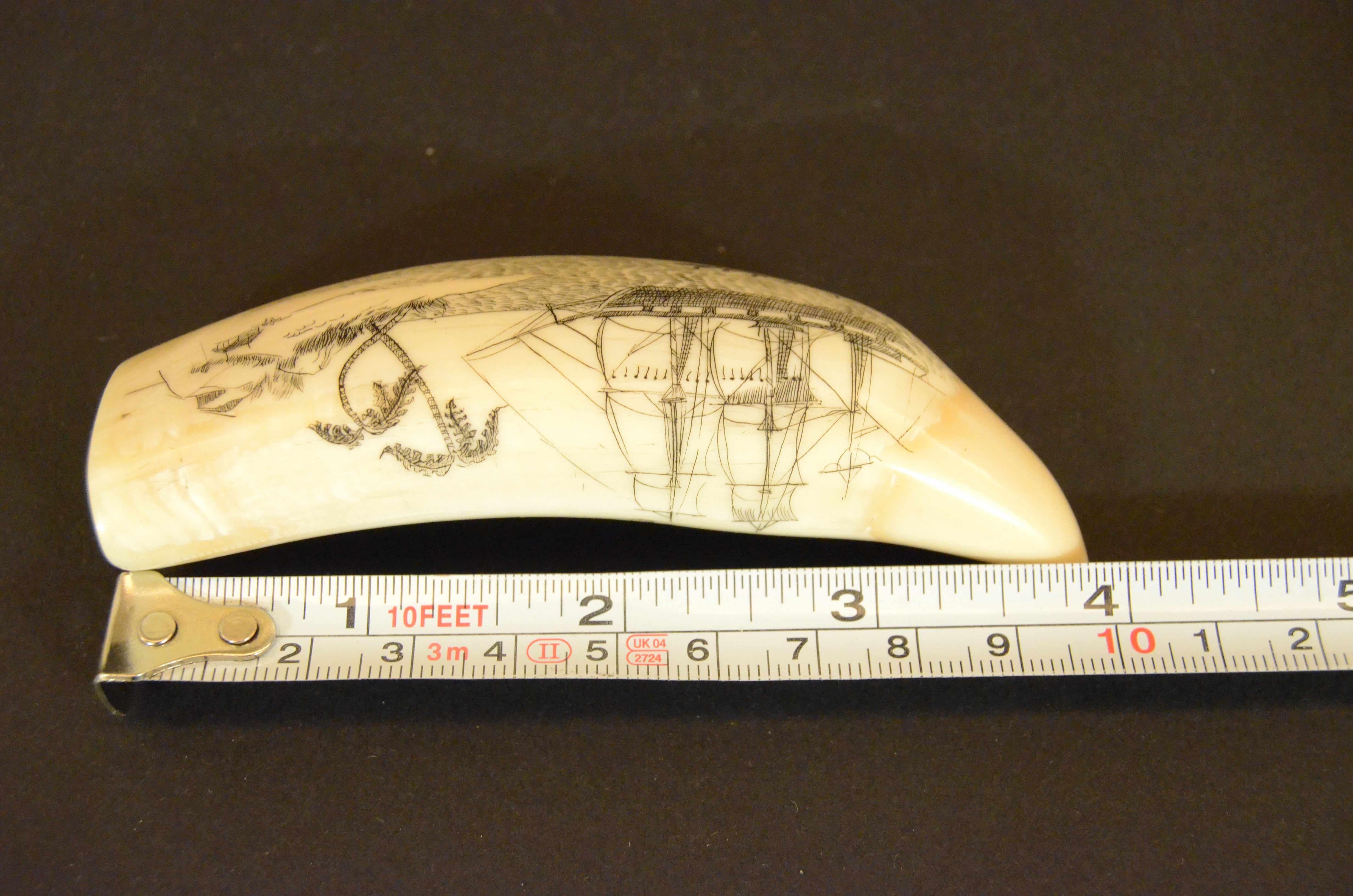 Scrimshaw di dente di balena inciso con veliero a tre alberi isola capanna palme 5